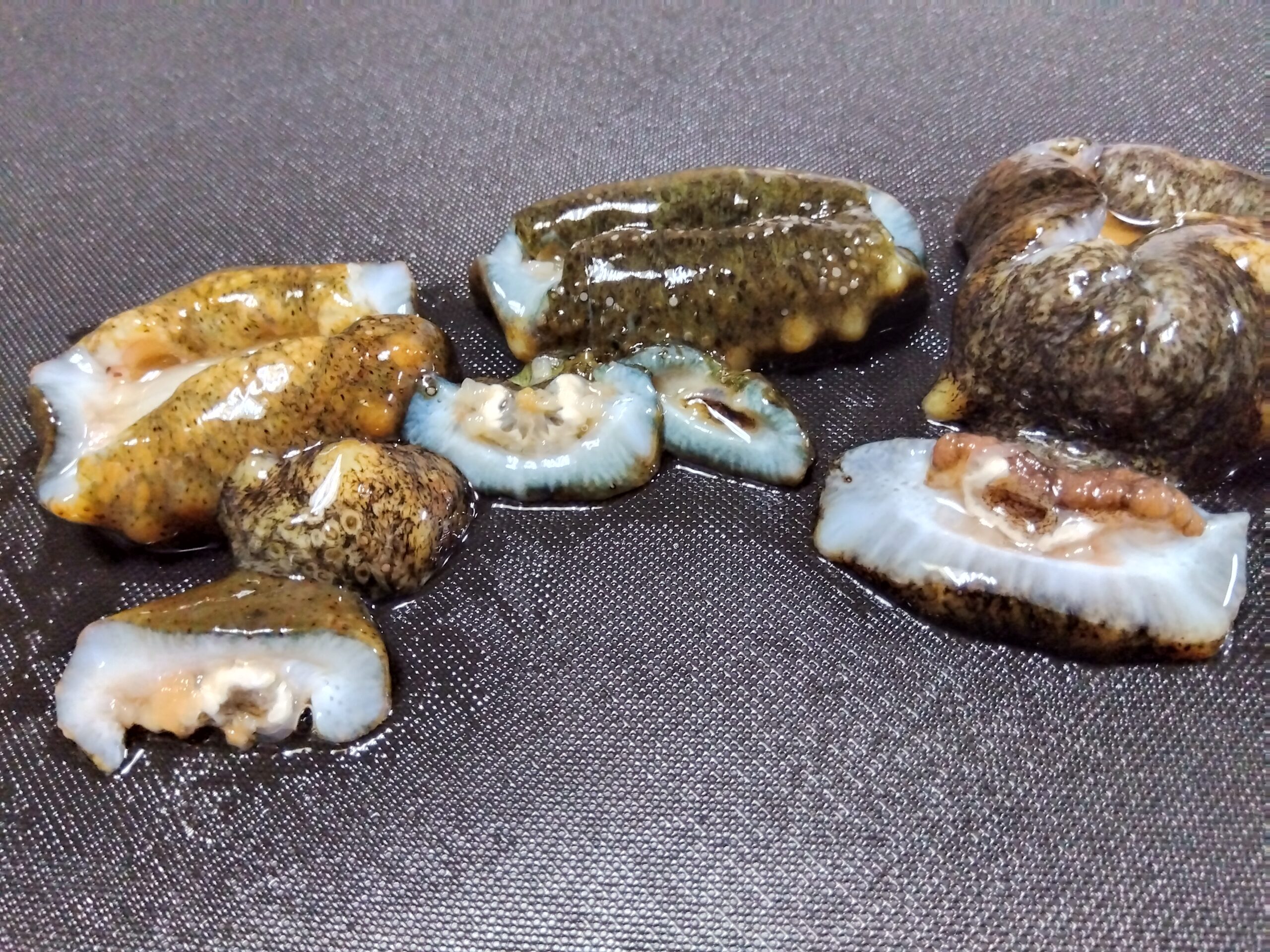 ナマコの口とおしりを切り落としたところ