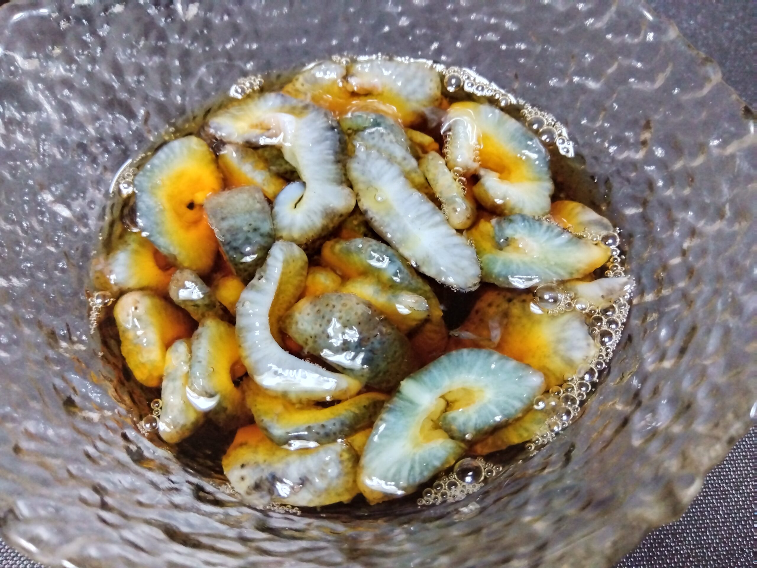 ナマコポン酢