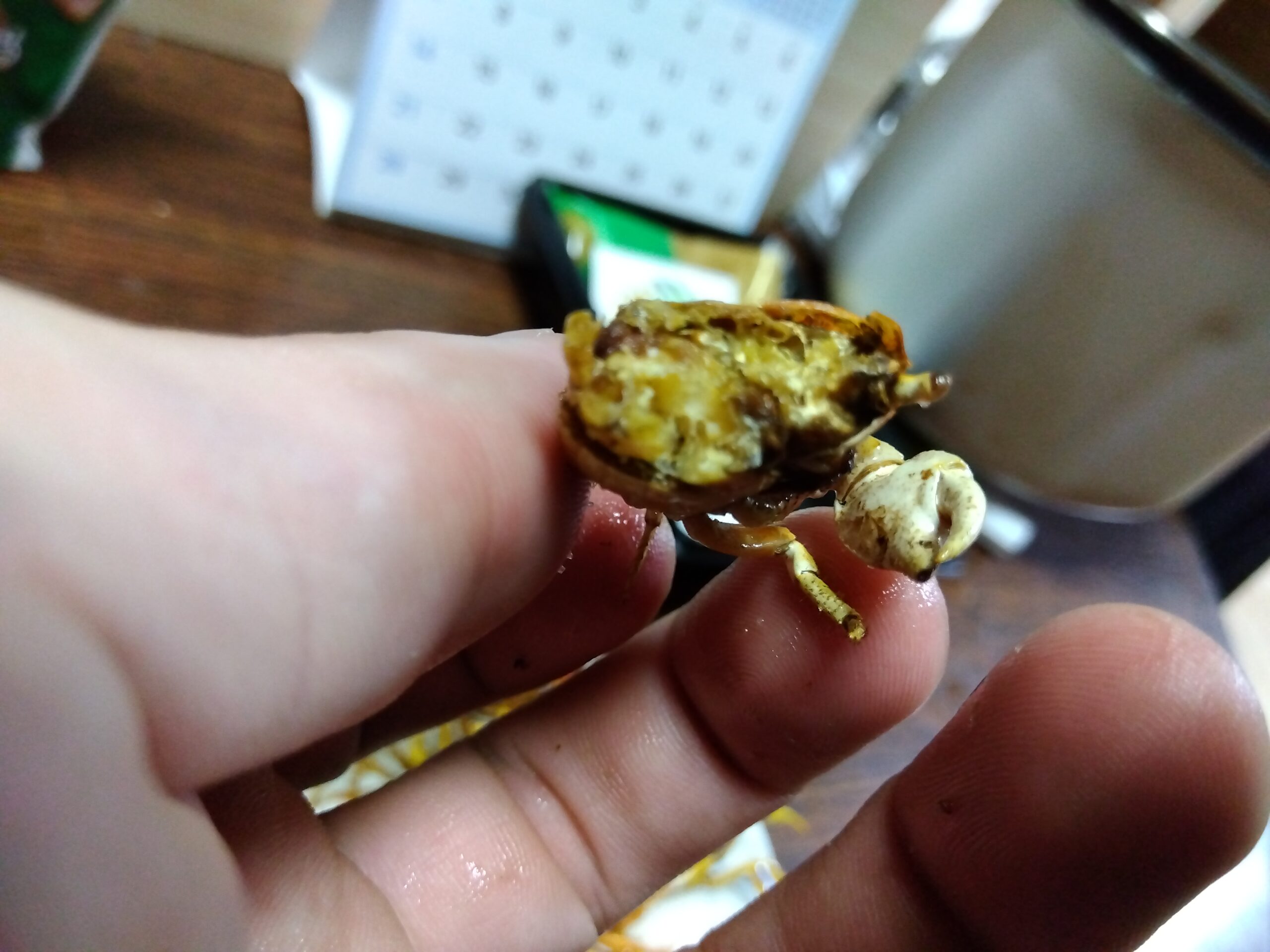 中身が詰まった素揚げサワガニ