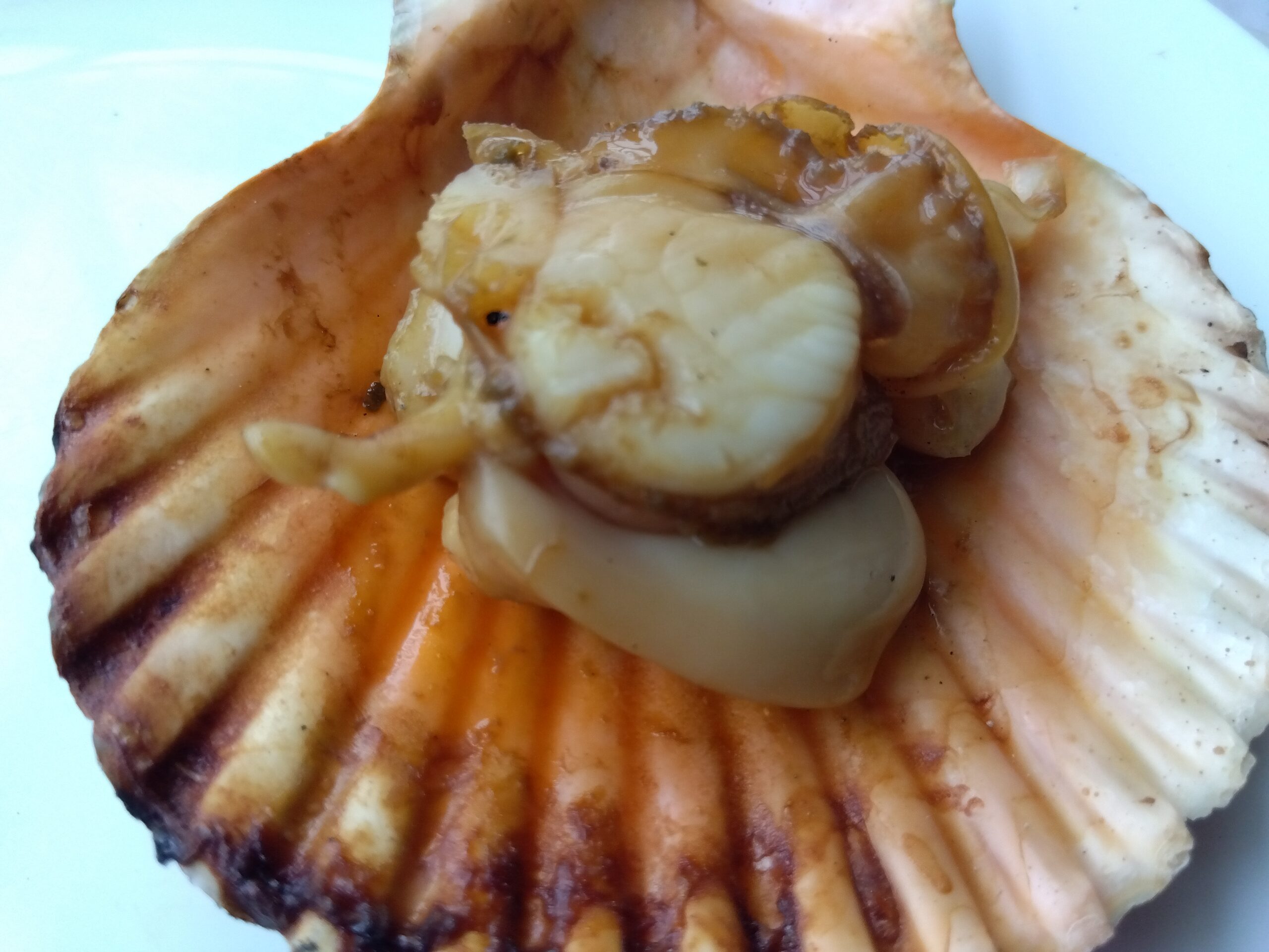 大野醤油で味付けして焼いたヒオウギ貝