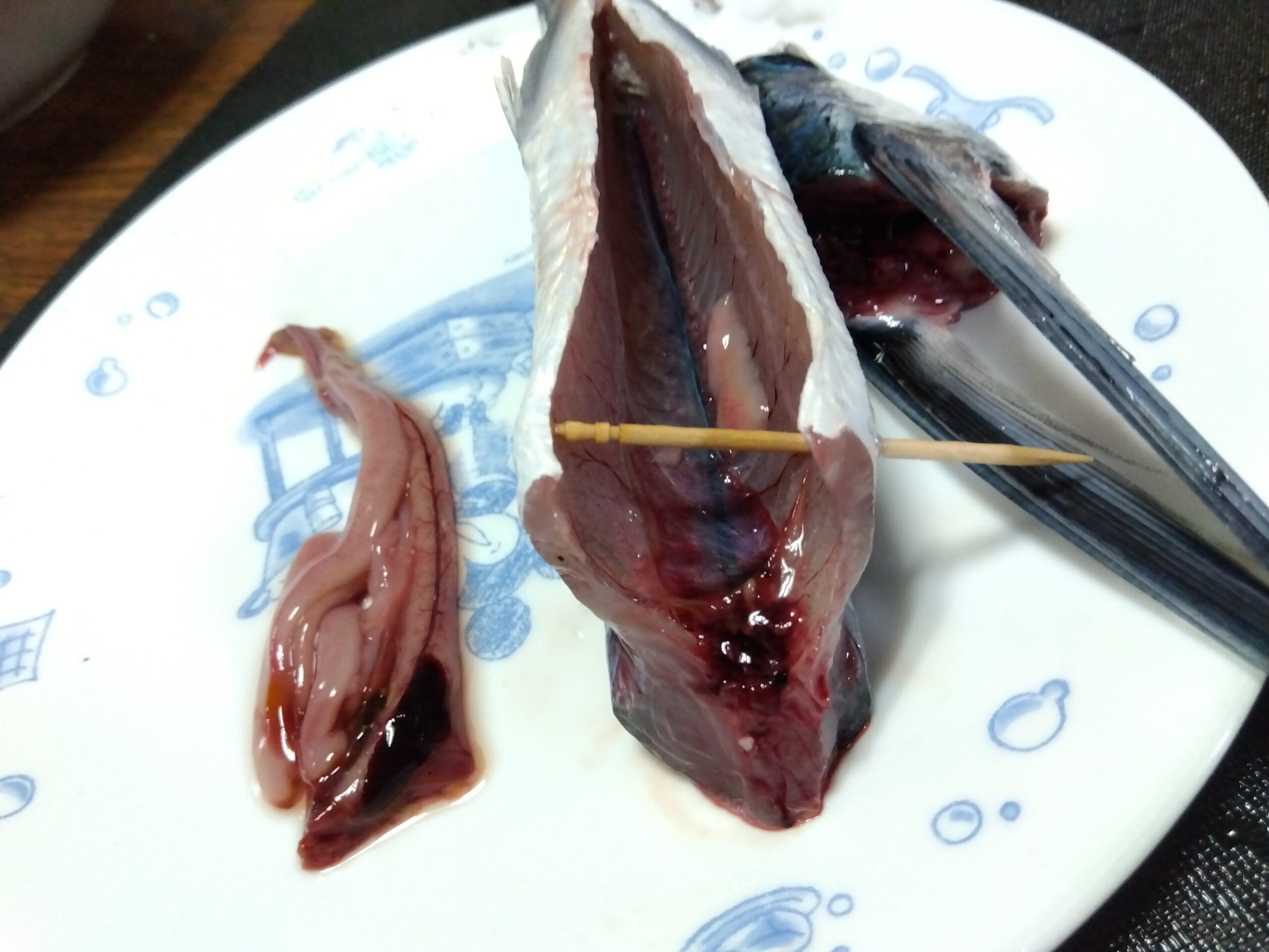 トビウオの腹の中と内臓