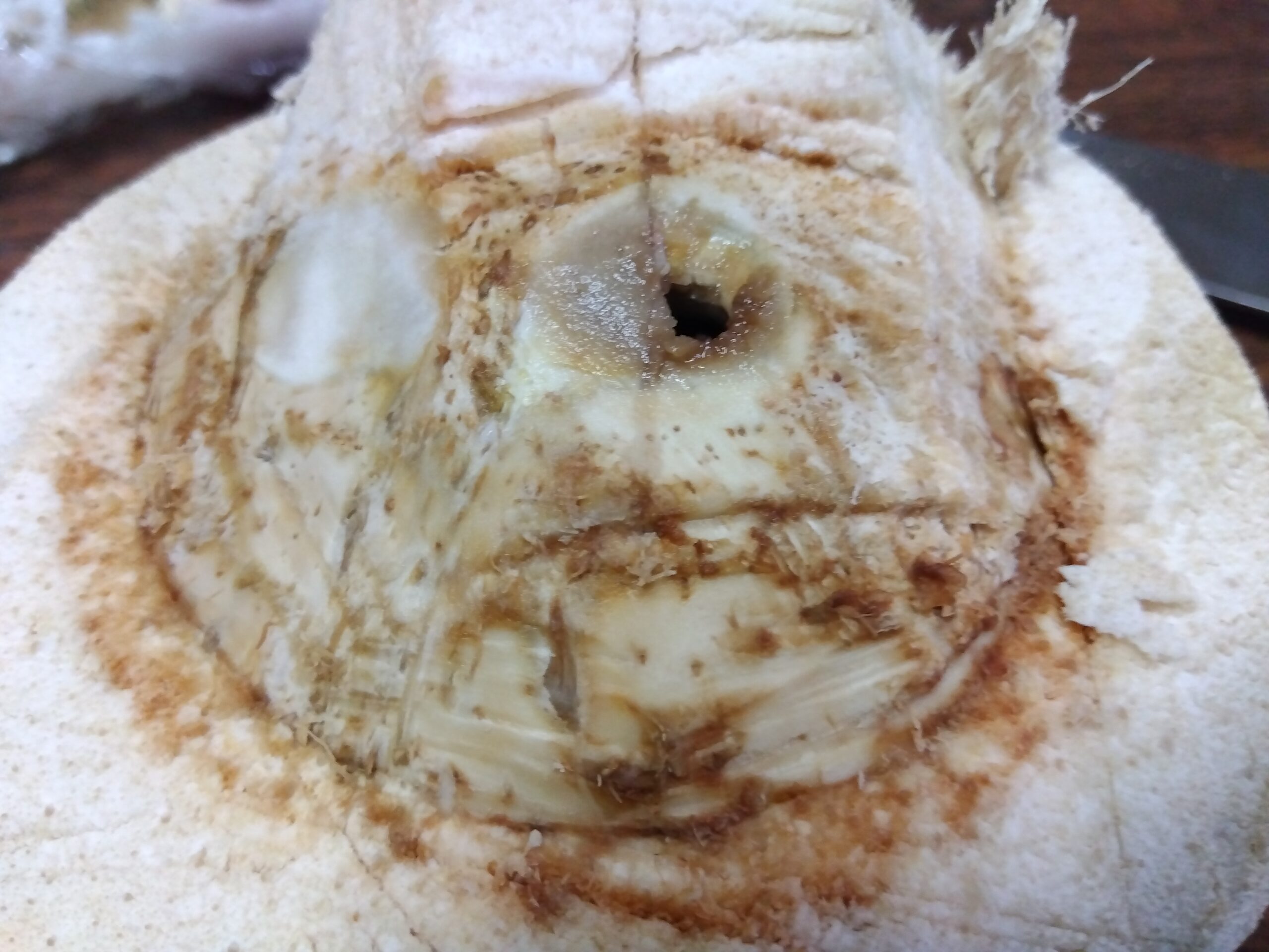 ヤングココナッツの上部を包丁で開けようとしている様子