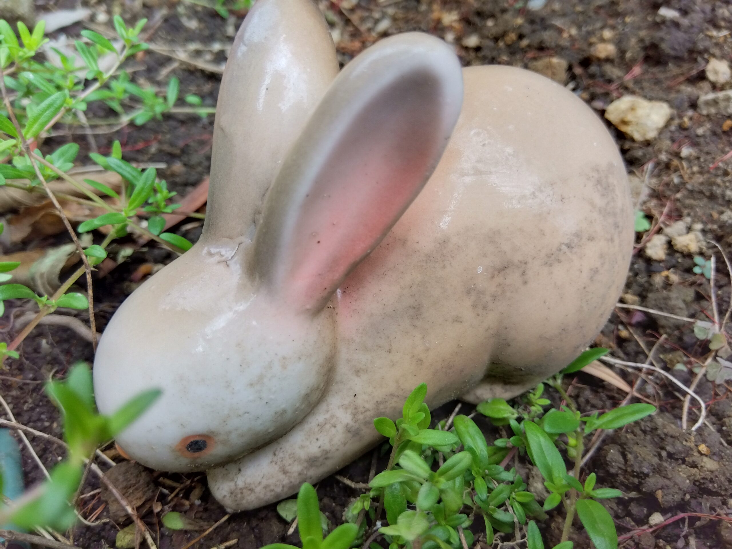 庭のウサギの置物