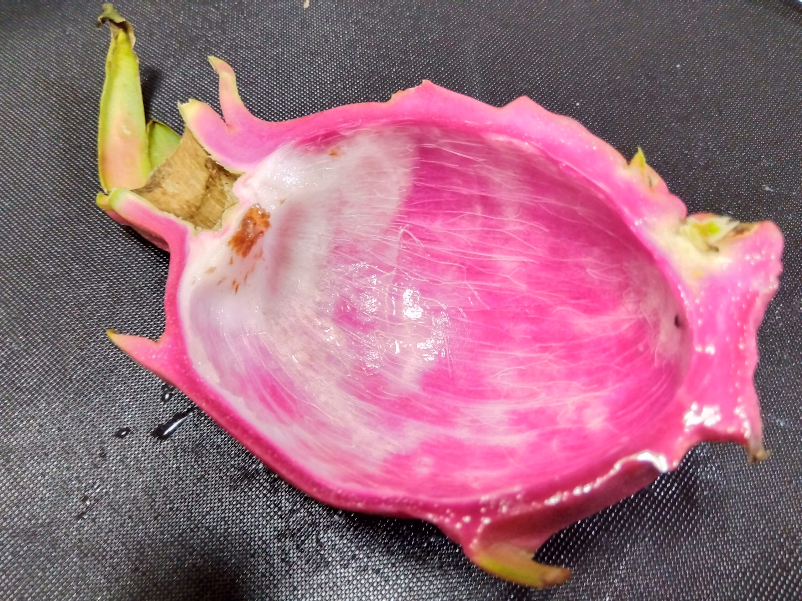 中身をくりぬいたドラゴンフルーツ