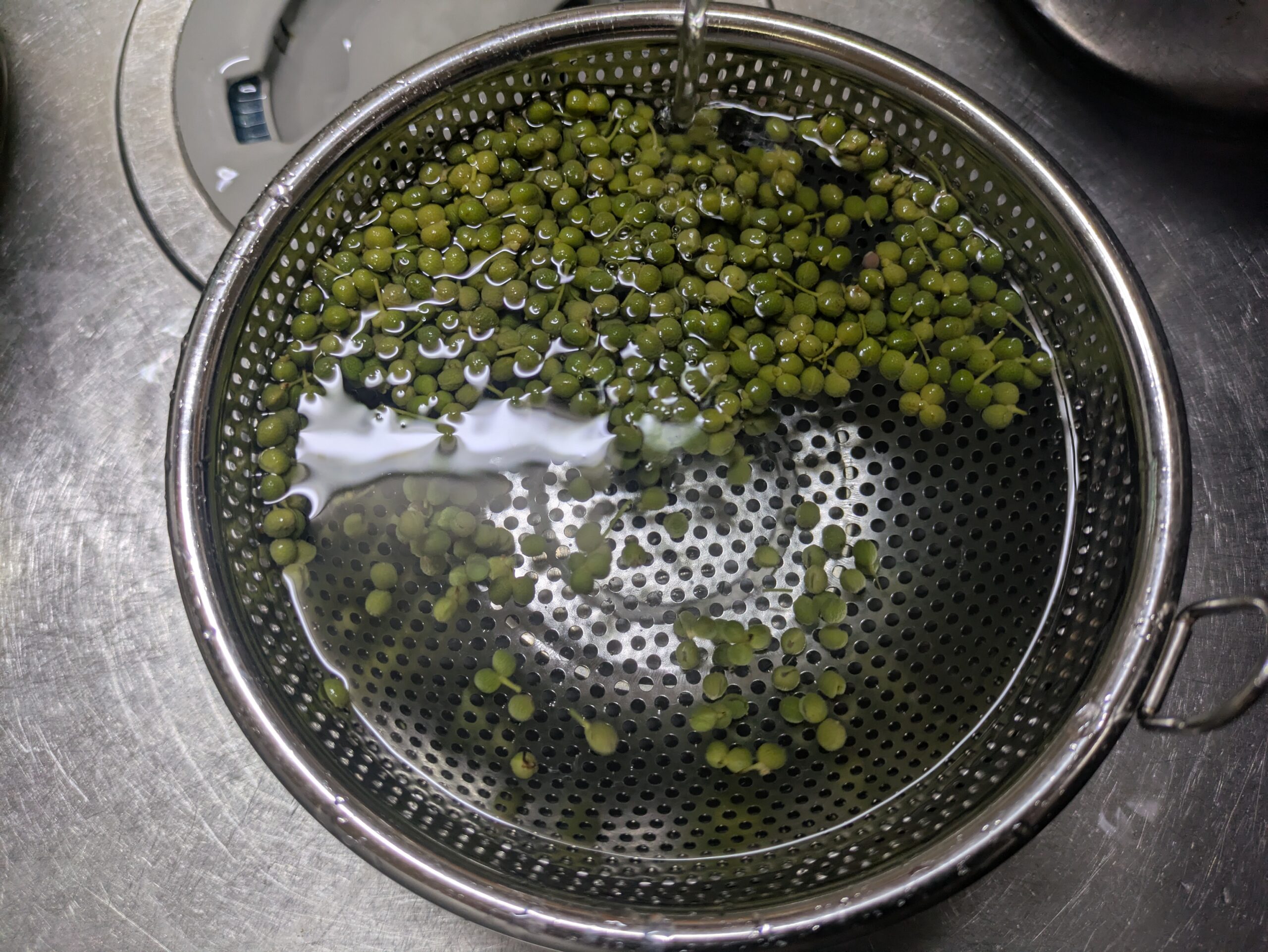 水でさらしている山椒の実