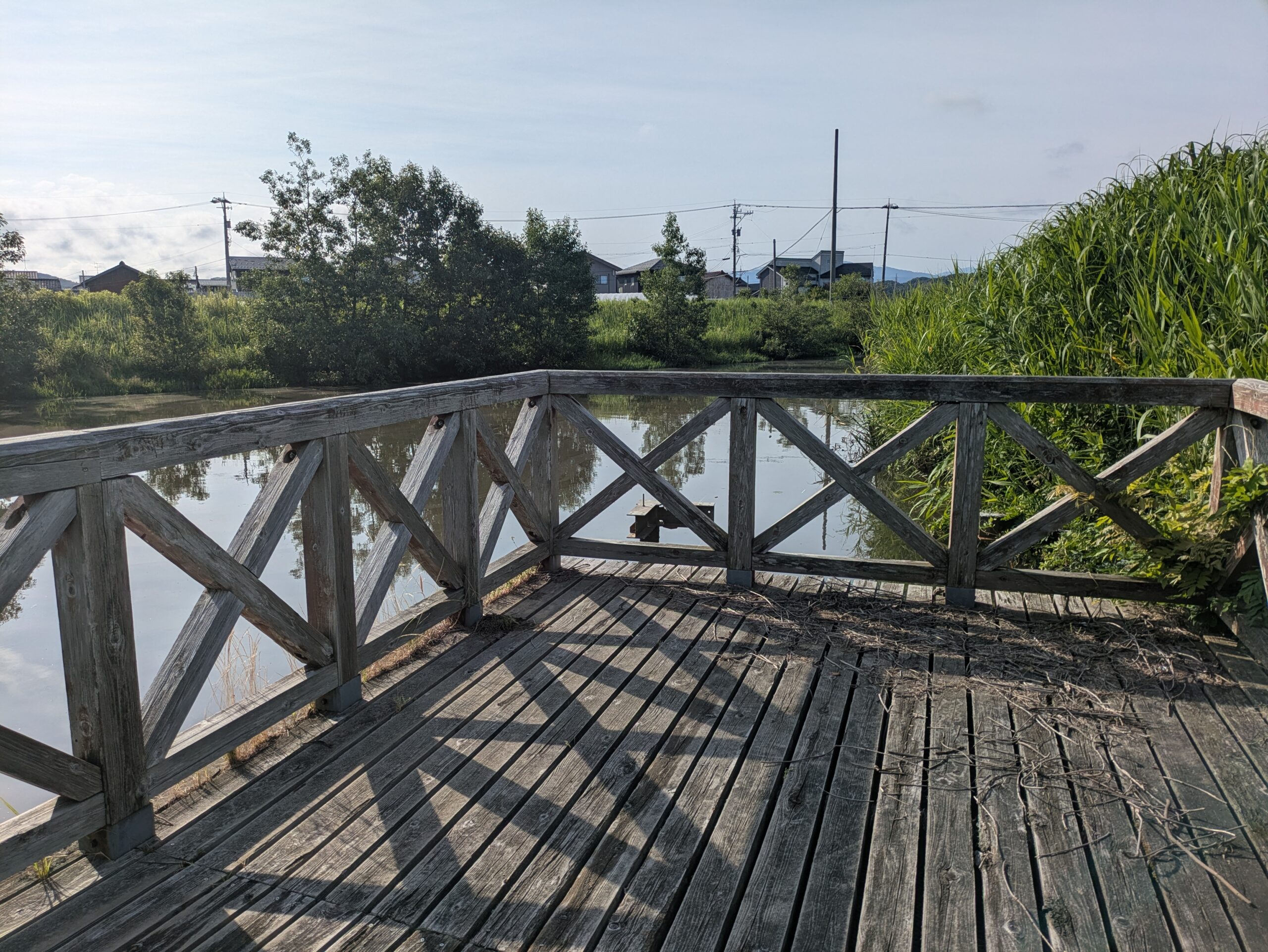 柳瀬川つつみ公園の風景
