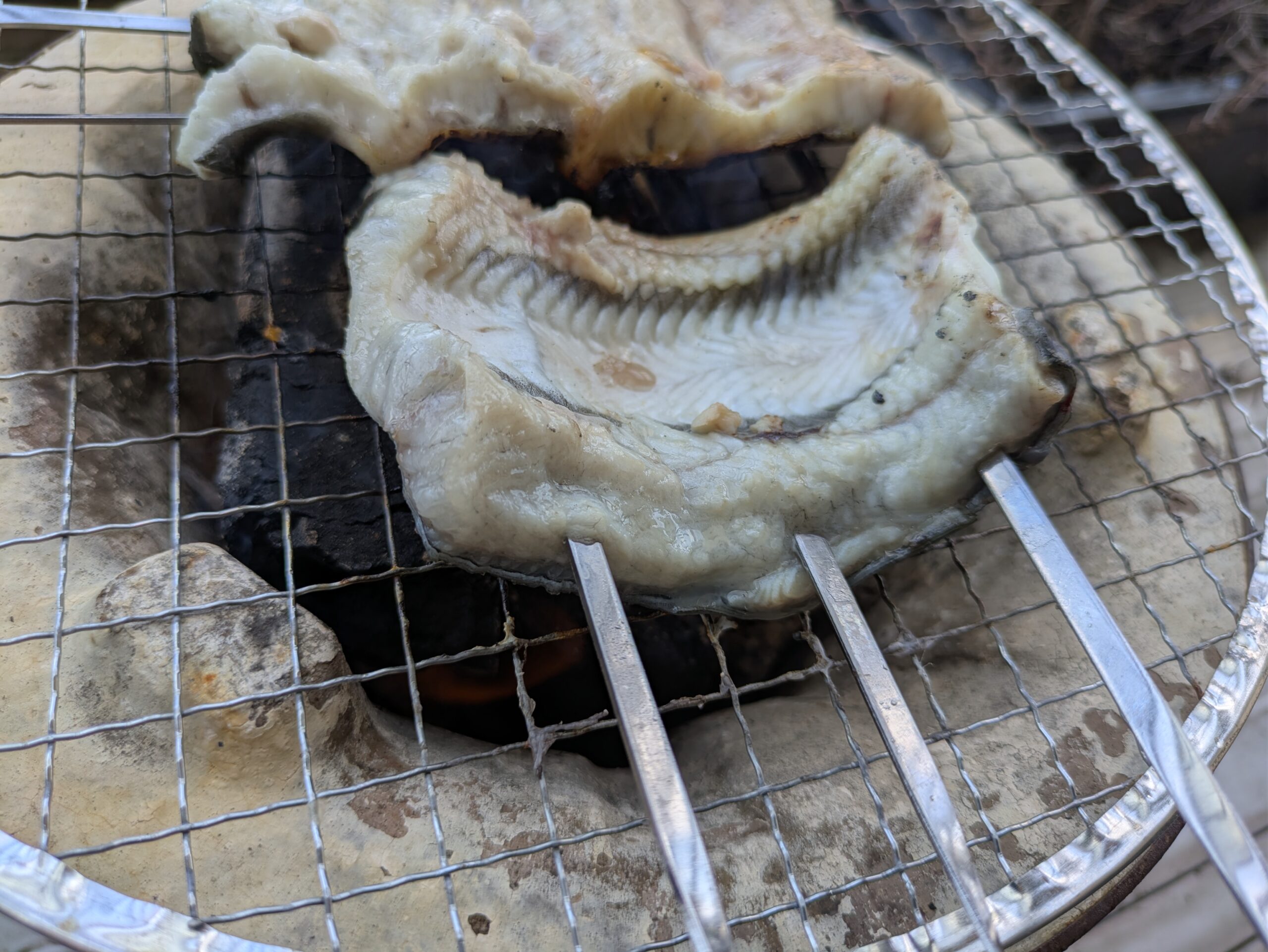 七輪で白焼きにしているウナギ。皮を焼いている