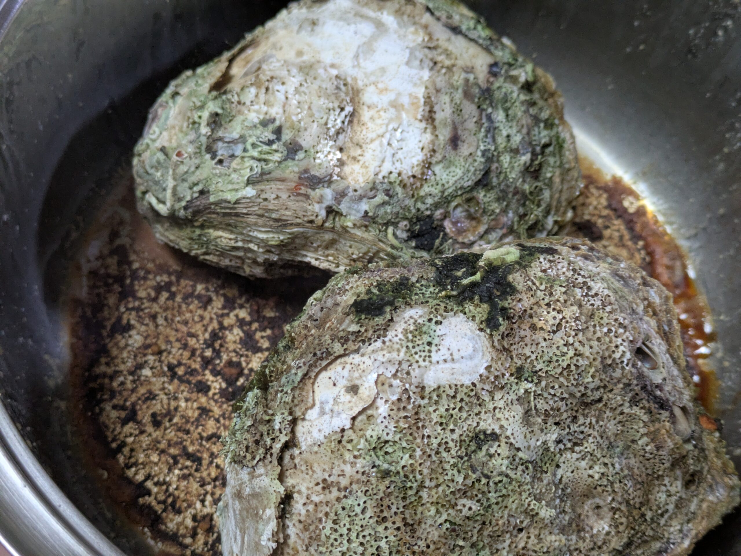 岩ガキの酒蒸しの酒が蒸発した様子。カキ殻から落ちた汚れが目立つ