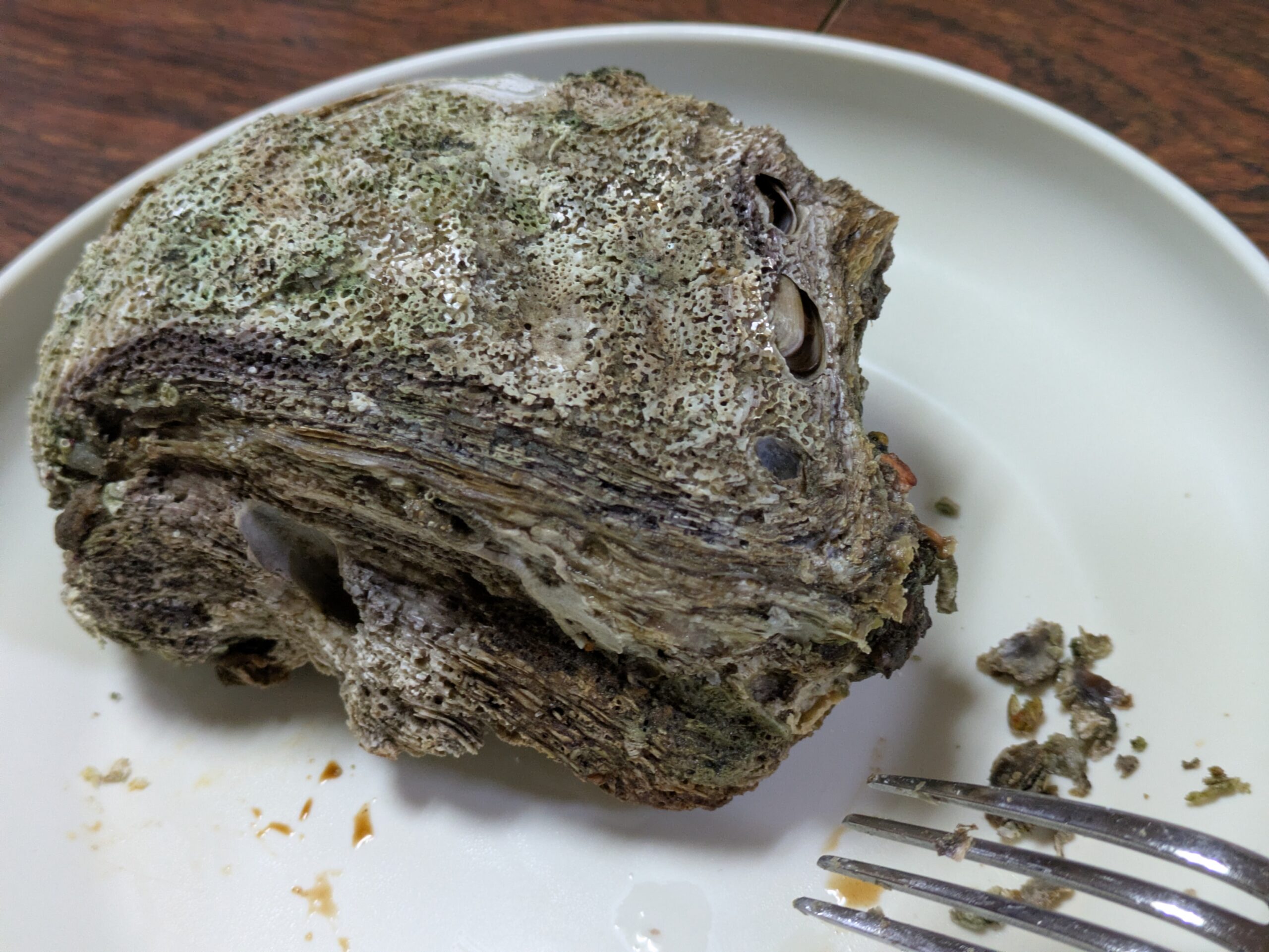 カキ殻の層が厚く、口が見つからない