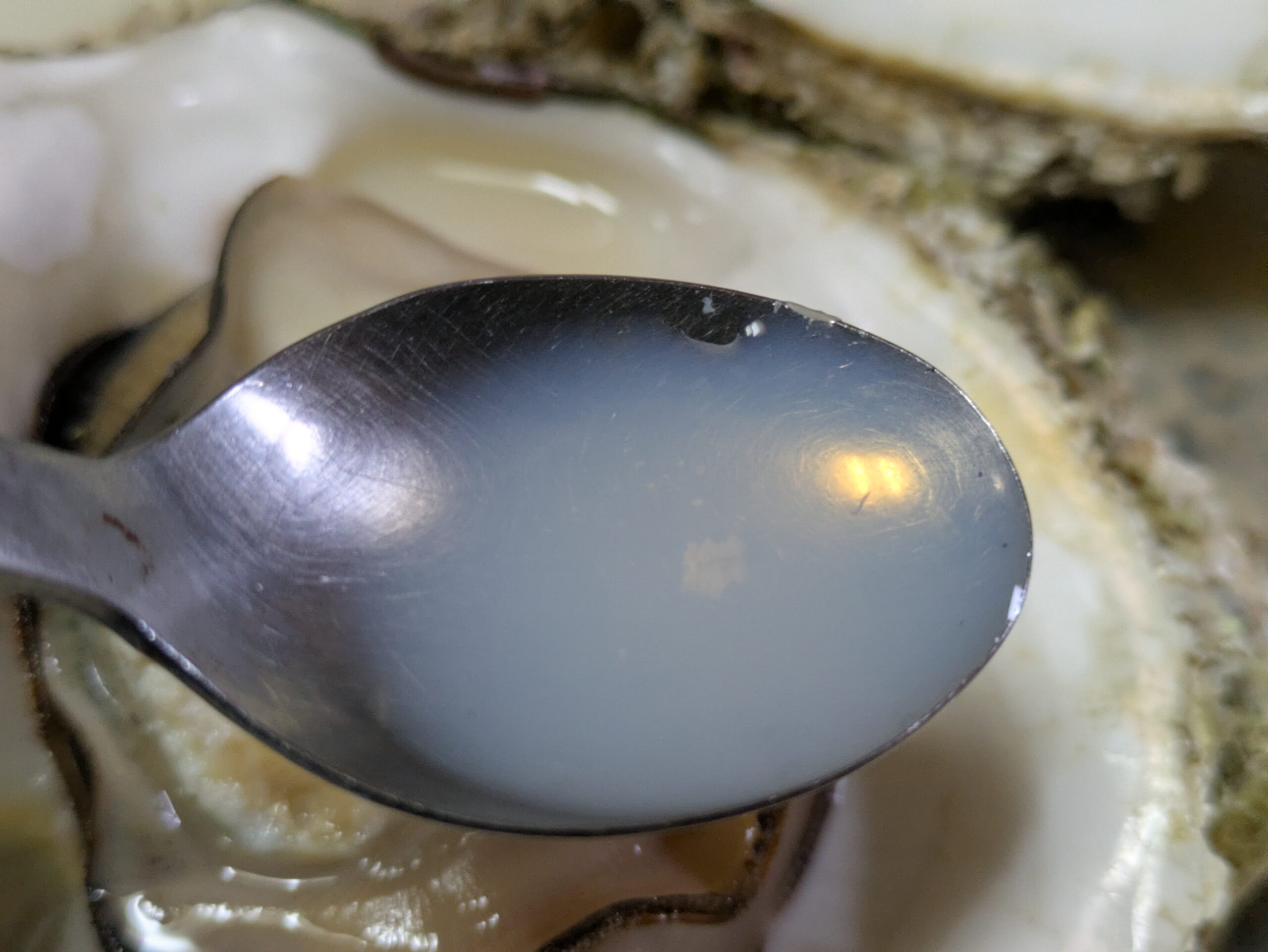 酒蒸しにした岩カキを開いた中に残っていた汁をスプーンですくった様子