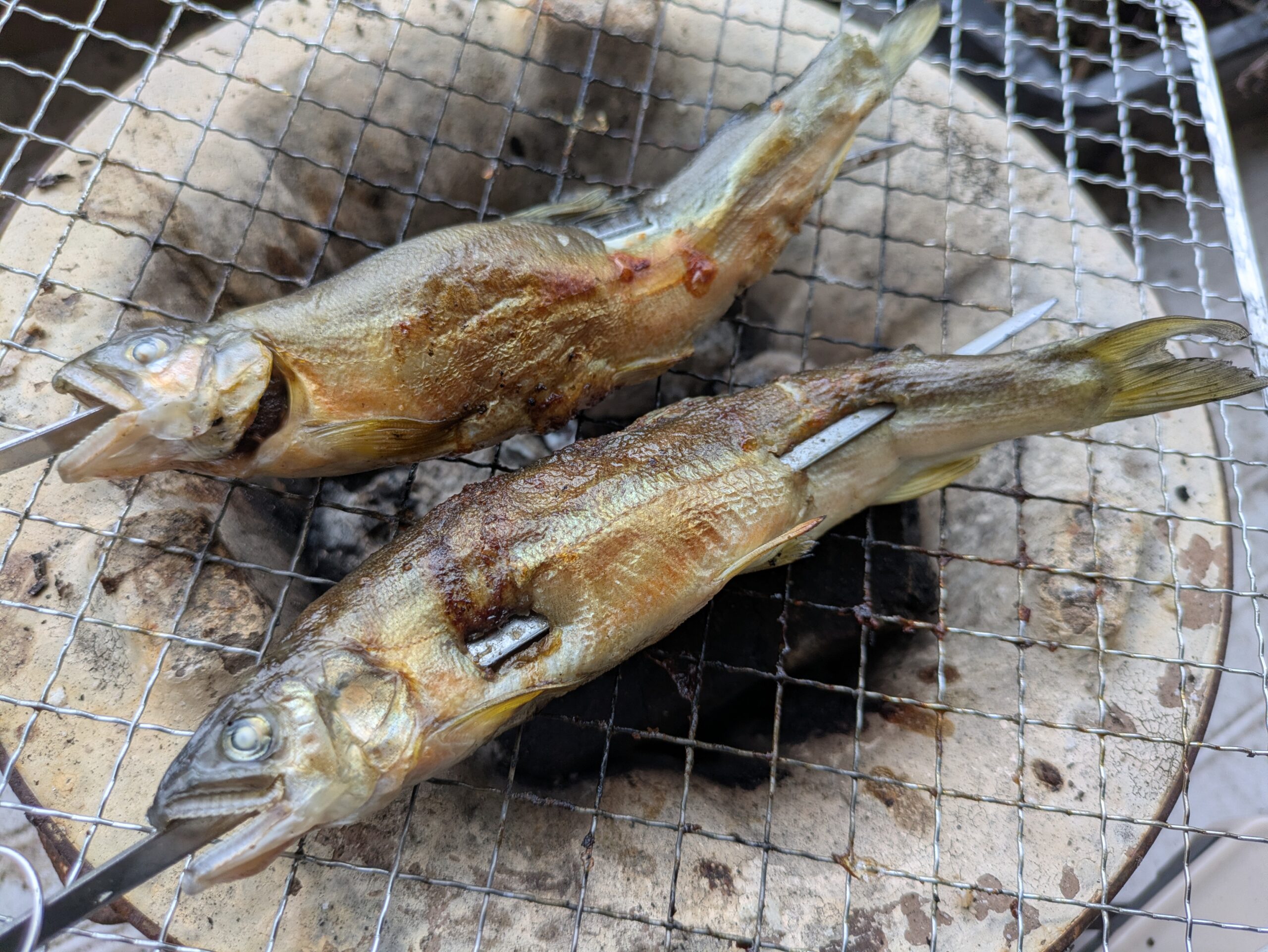 炊き込みご飯用に塩を付けずに焼いた鮎