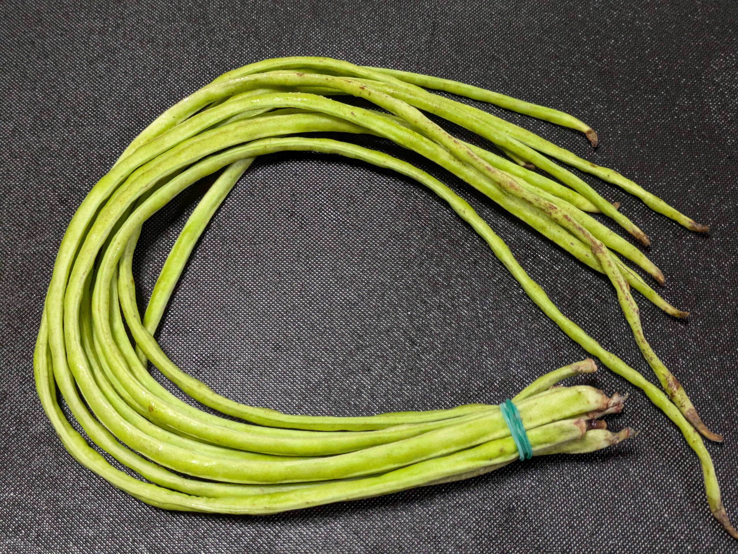 煮物用十六ささげ。長い豆類