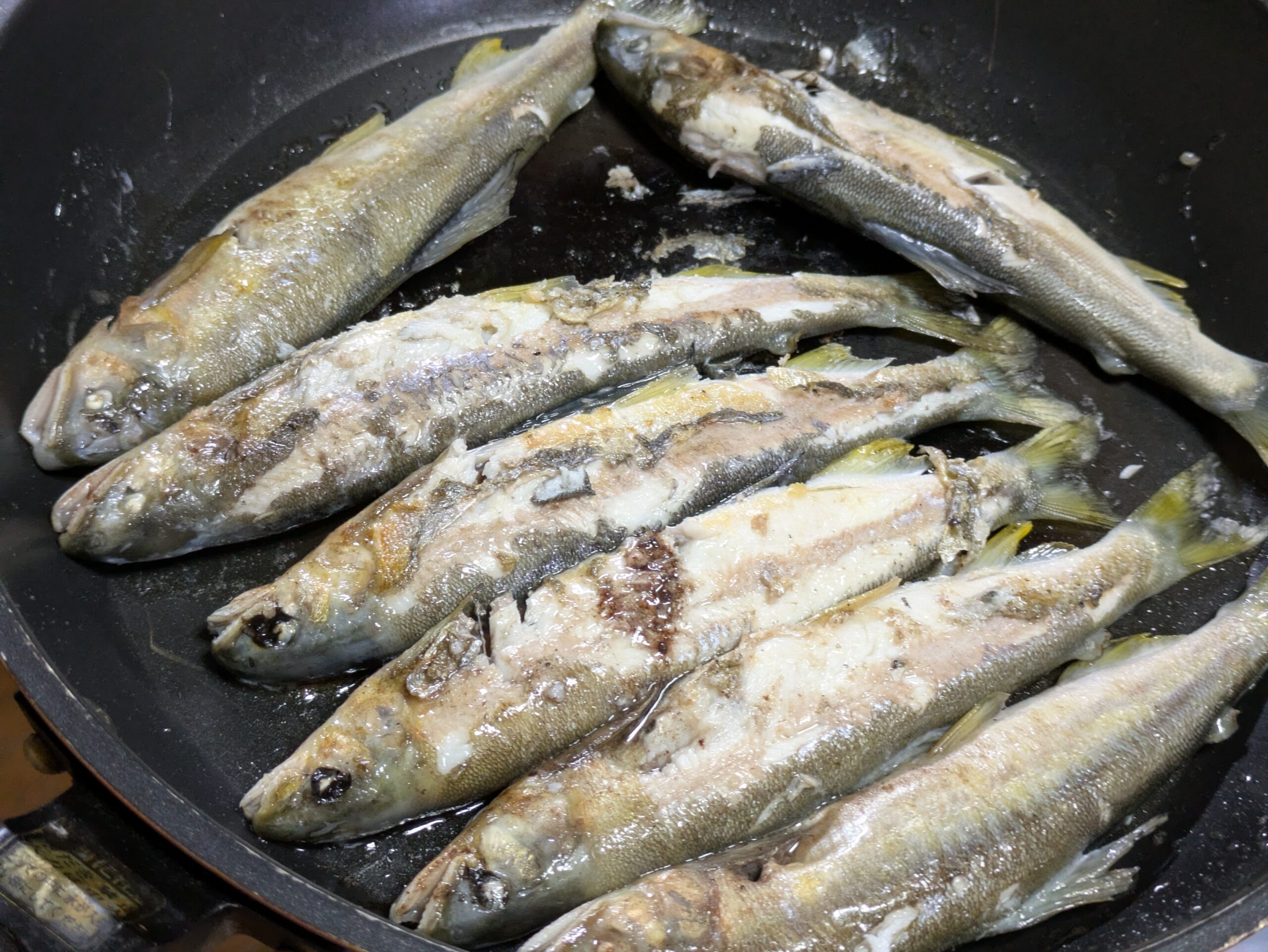 フライパンで焼き目を付けた養殖アユ