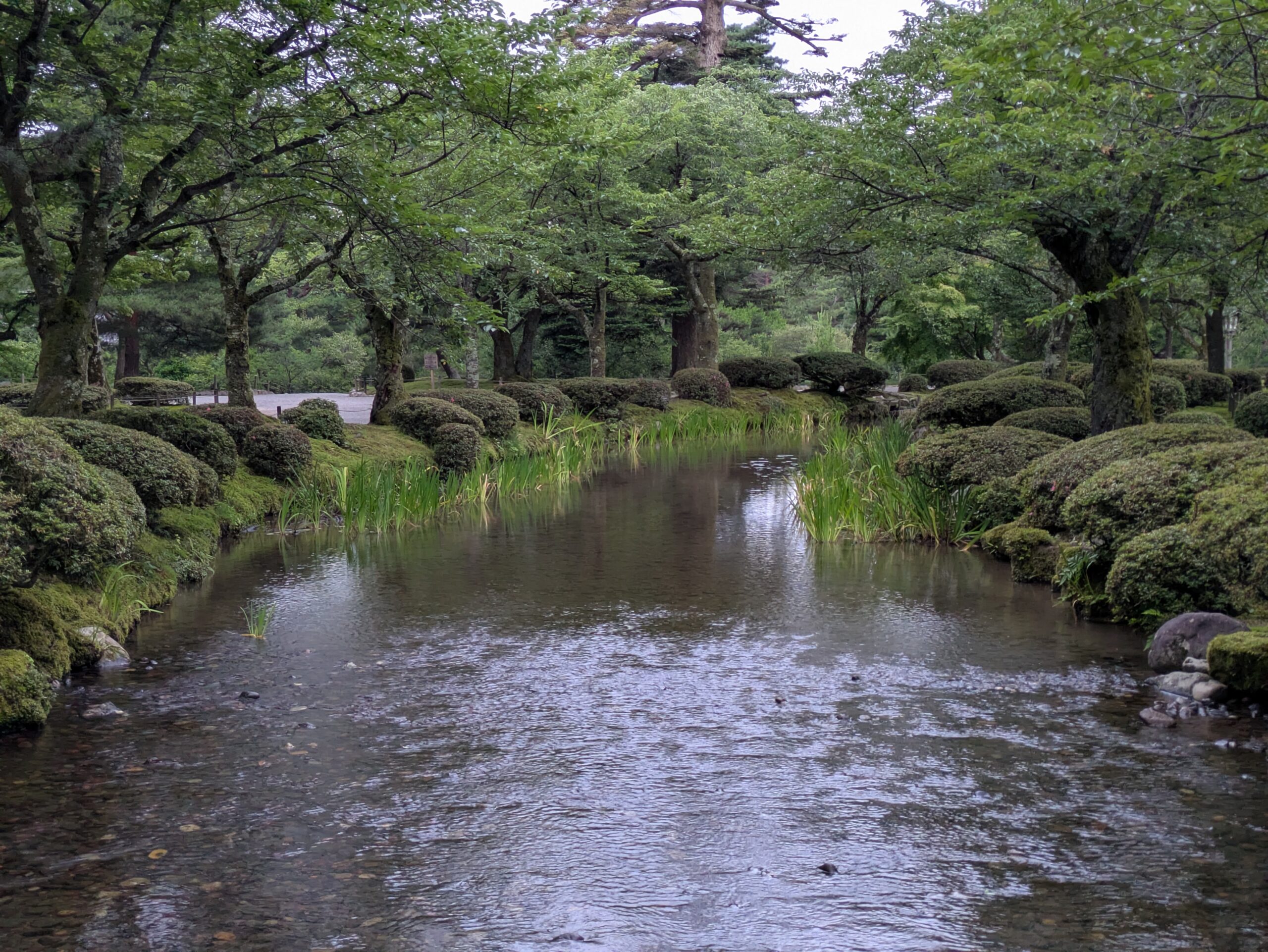 木々に囲まれた兼六園の静かな水路