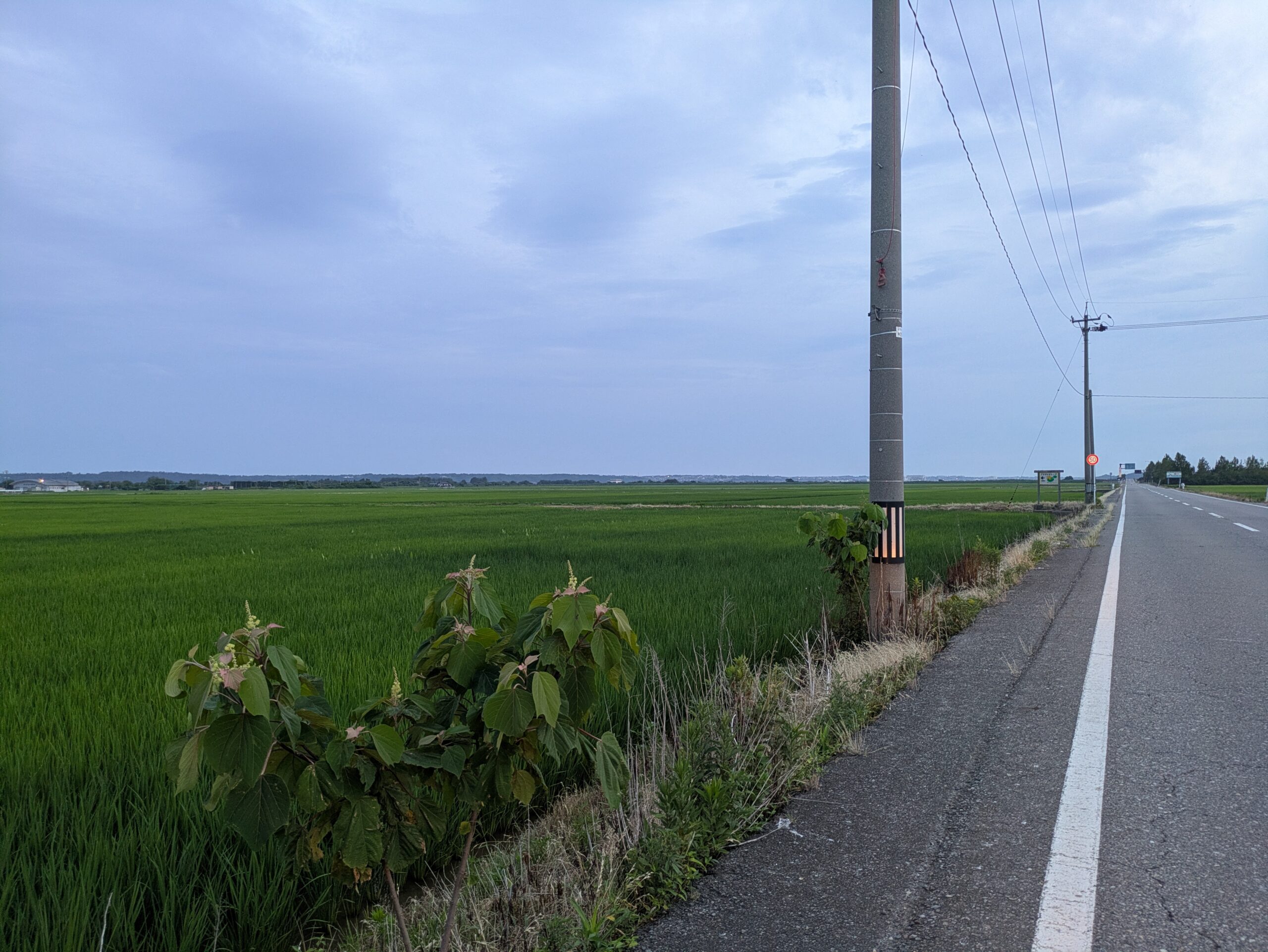 津幡、河北周辺の一面に田んぼが広がる様子
