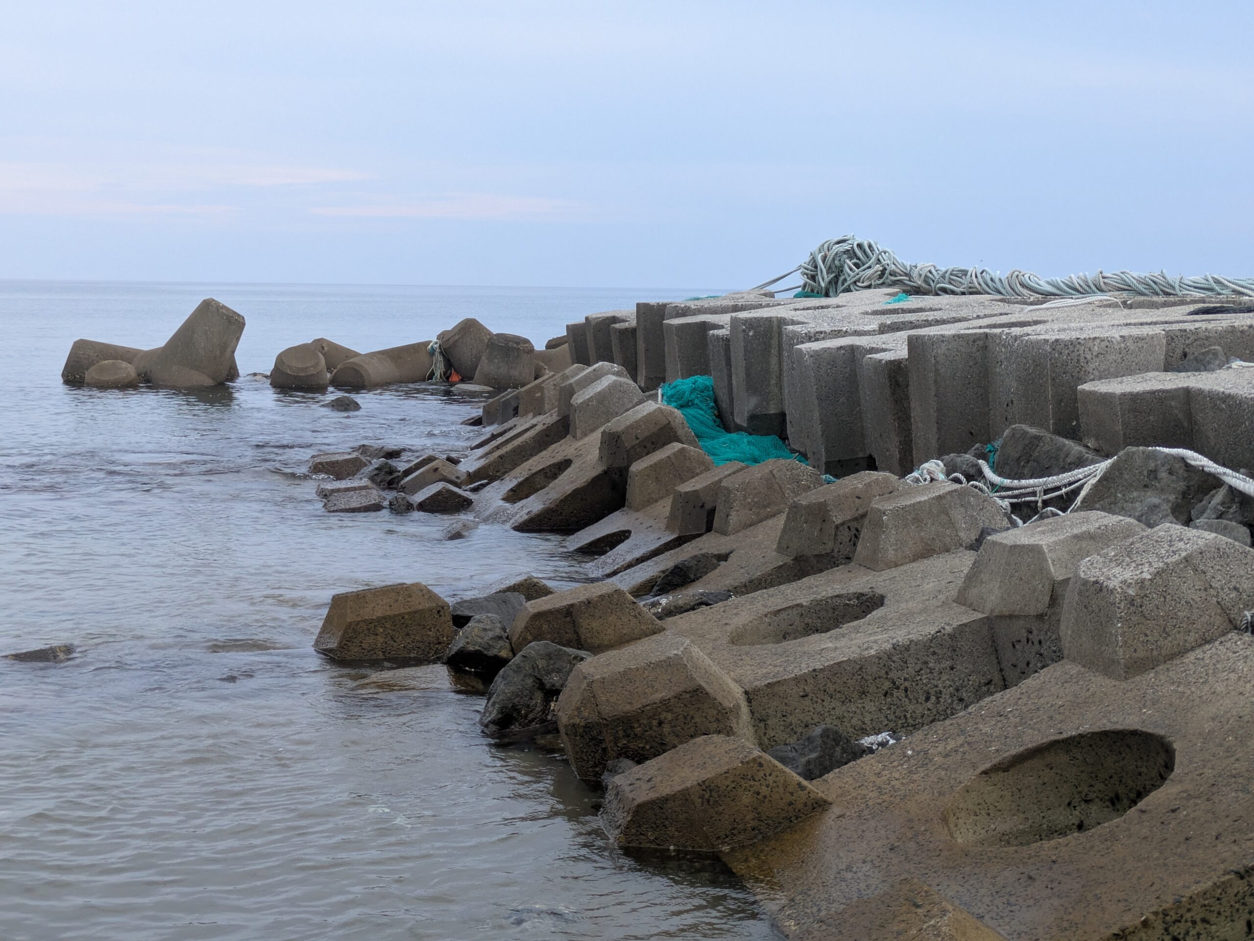 ネットやロープが置かれた、フナムシの生息地である海沿いの消波ブロック地帯。