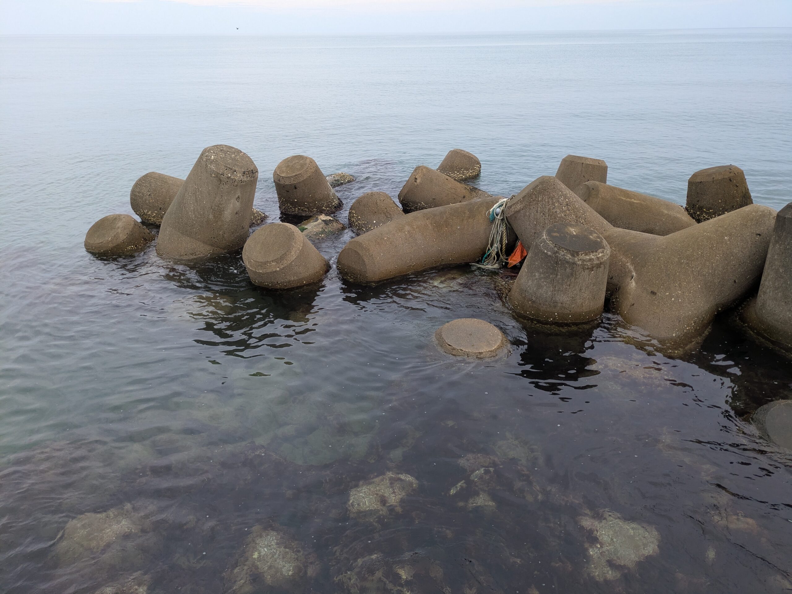 穏やかな海に突き出た、フナムシ捕りや釣りのポイントとなる消波ブロック地帯。