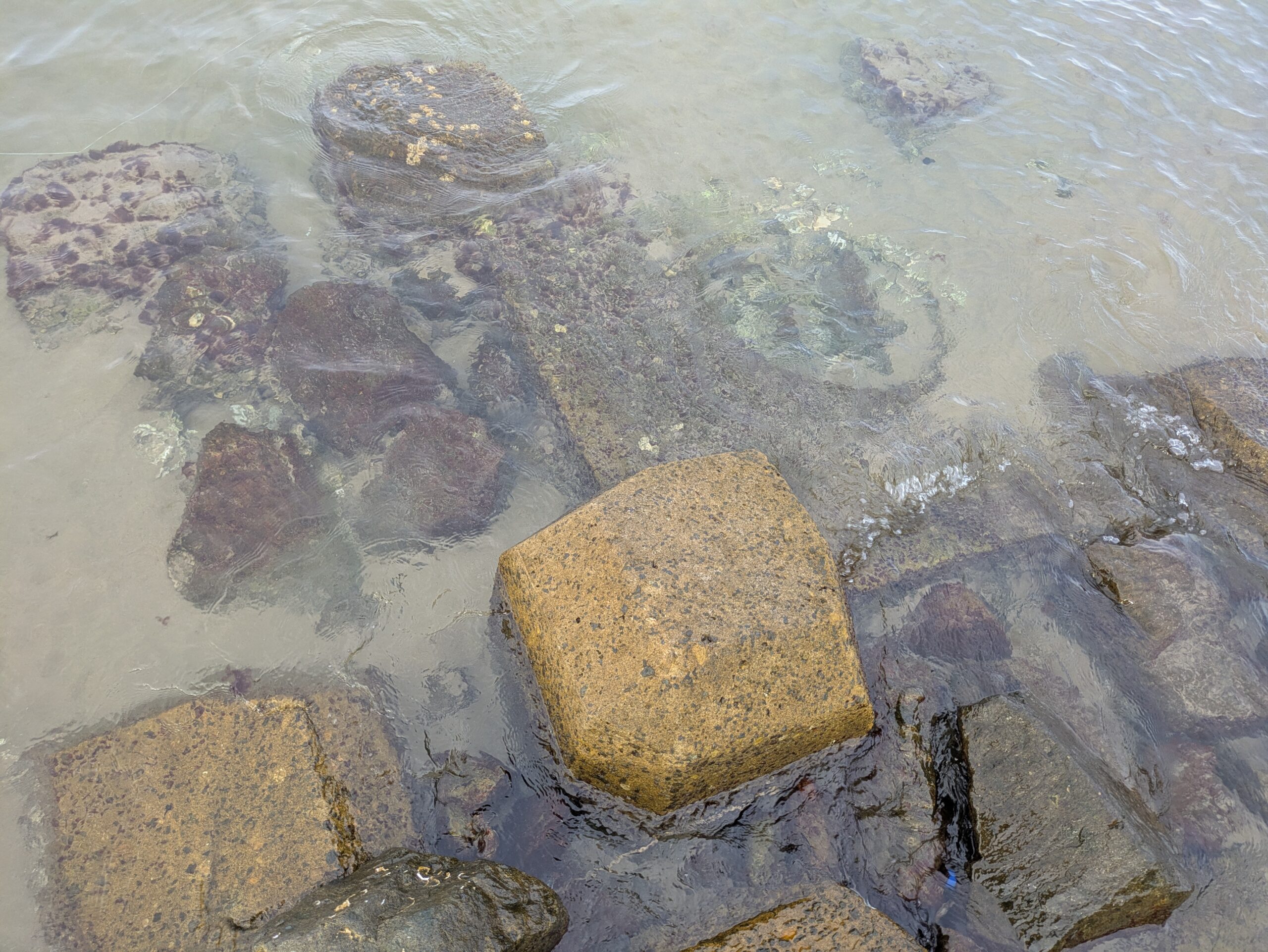 透き通った海水から底の岩場や消波ブロックが見えている、内灘海岸の足元の水際。