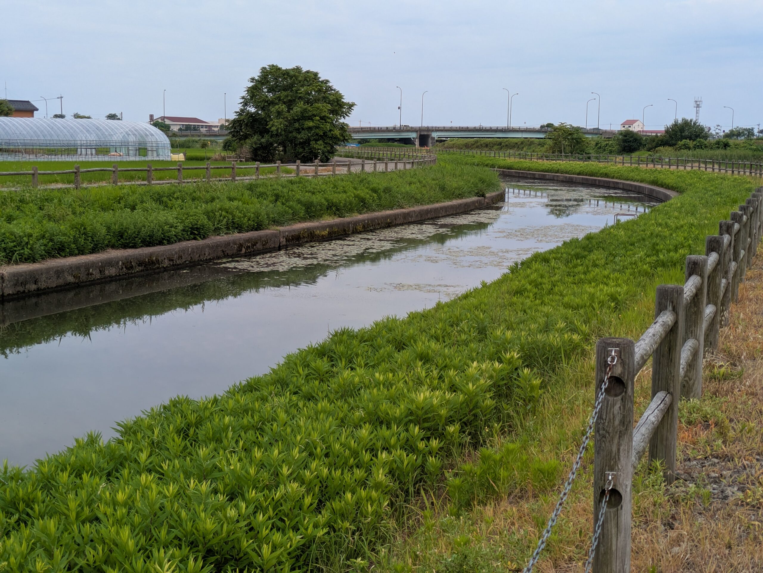 河北潟へつながる周囲の小さな川