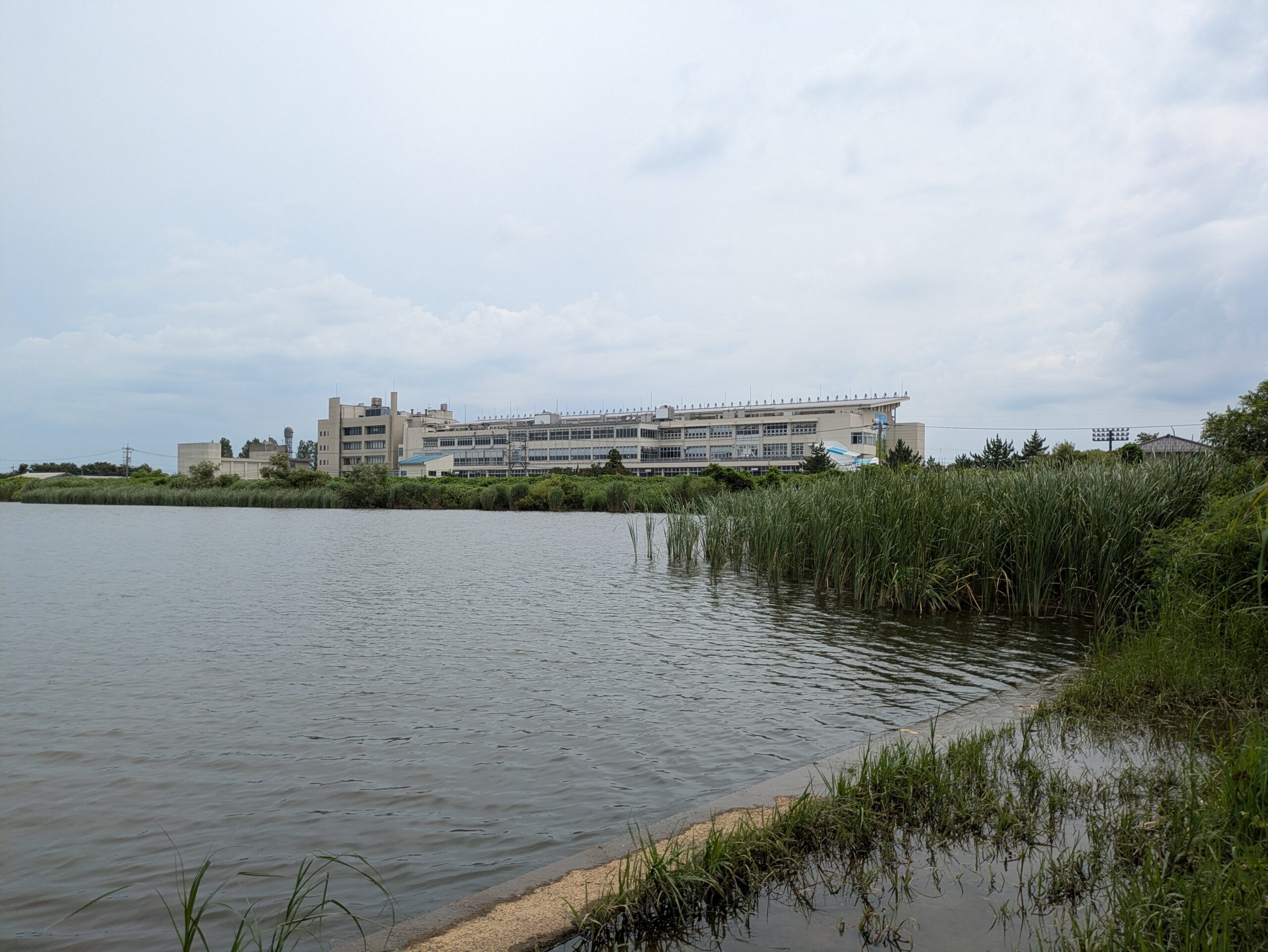 河北潟と金沢競馬場周辺の水辺風景
