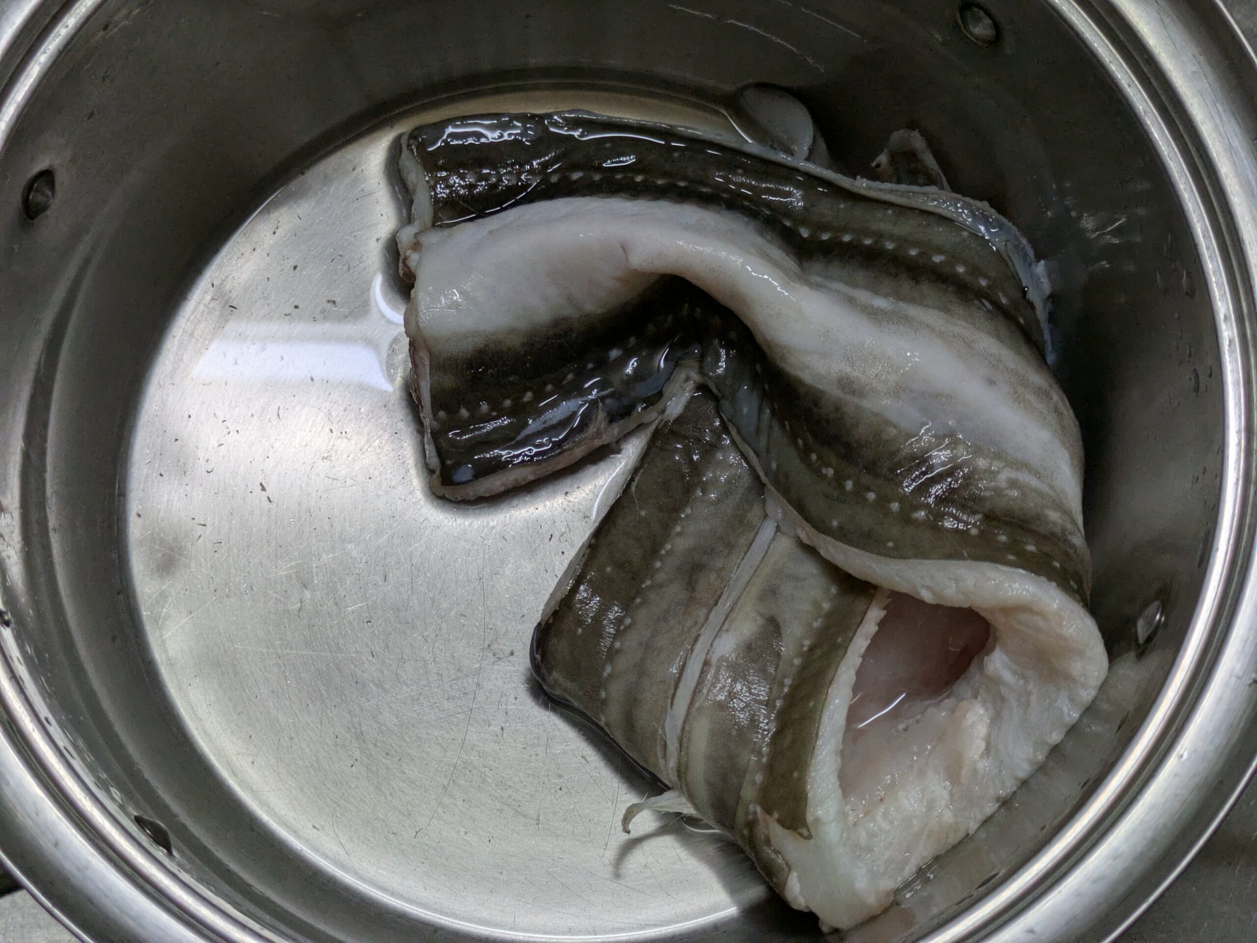 きれいにぬめりが取れ、綺麗になったアナゴの皮面