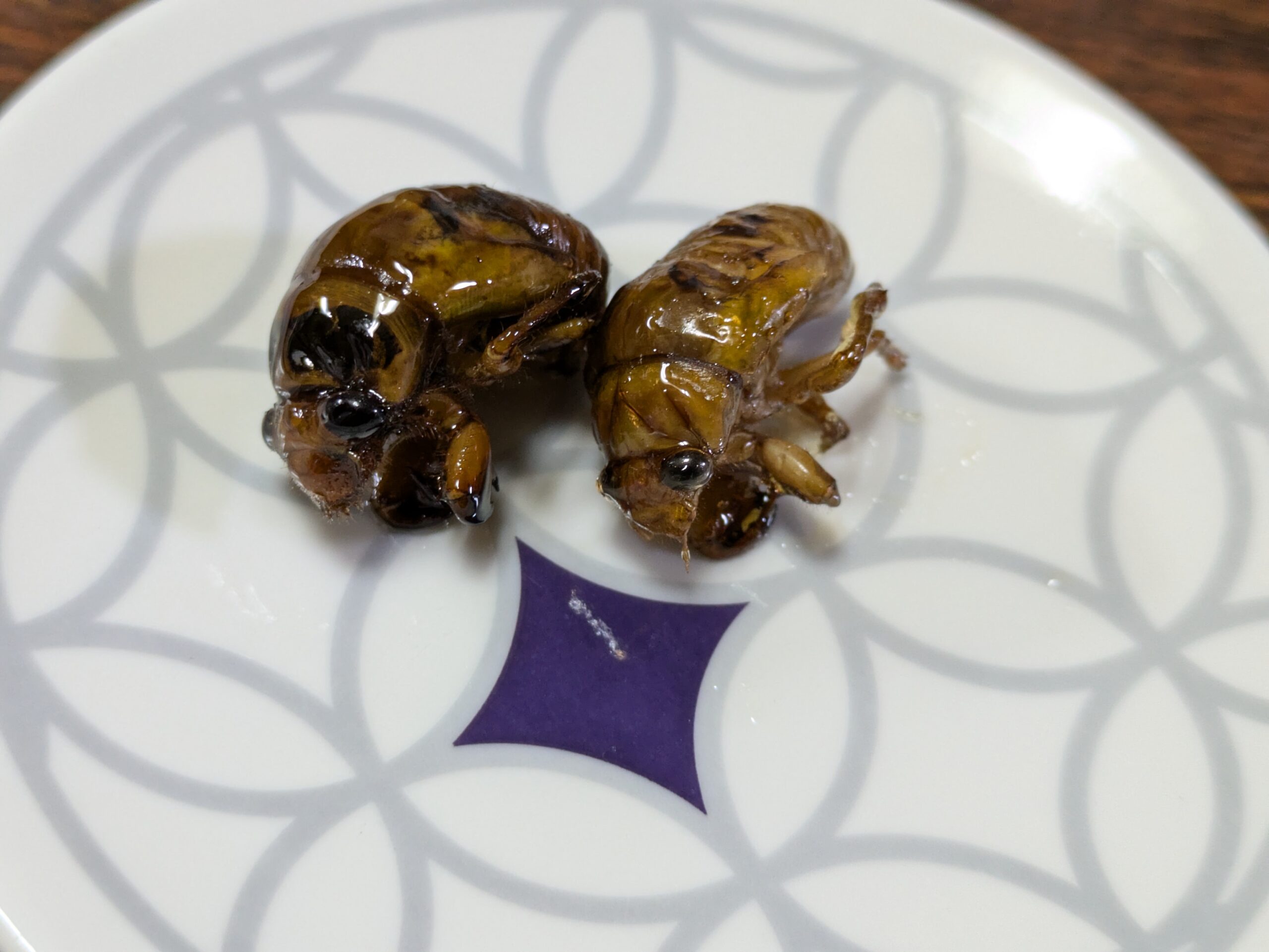 アブラゼミとスジアカクマゼミの幼虫を飴でコーティングしたキャラメリゼ