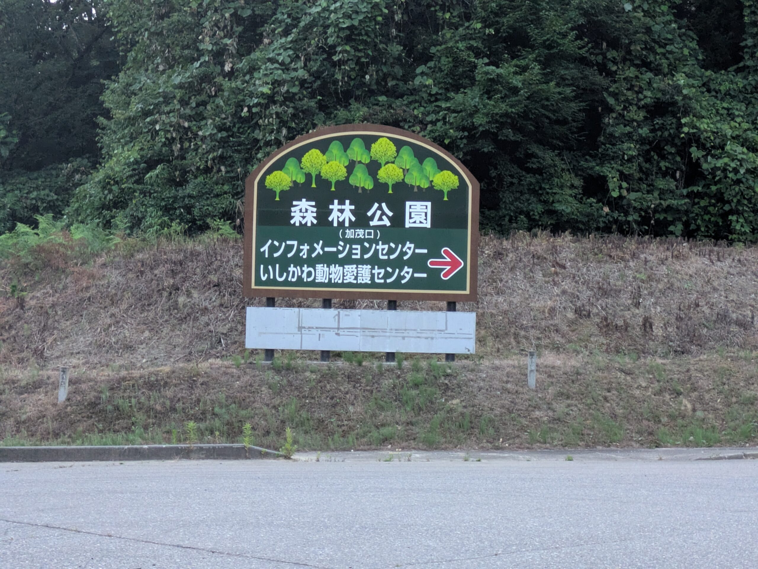 早朝の石川県森林公園