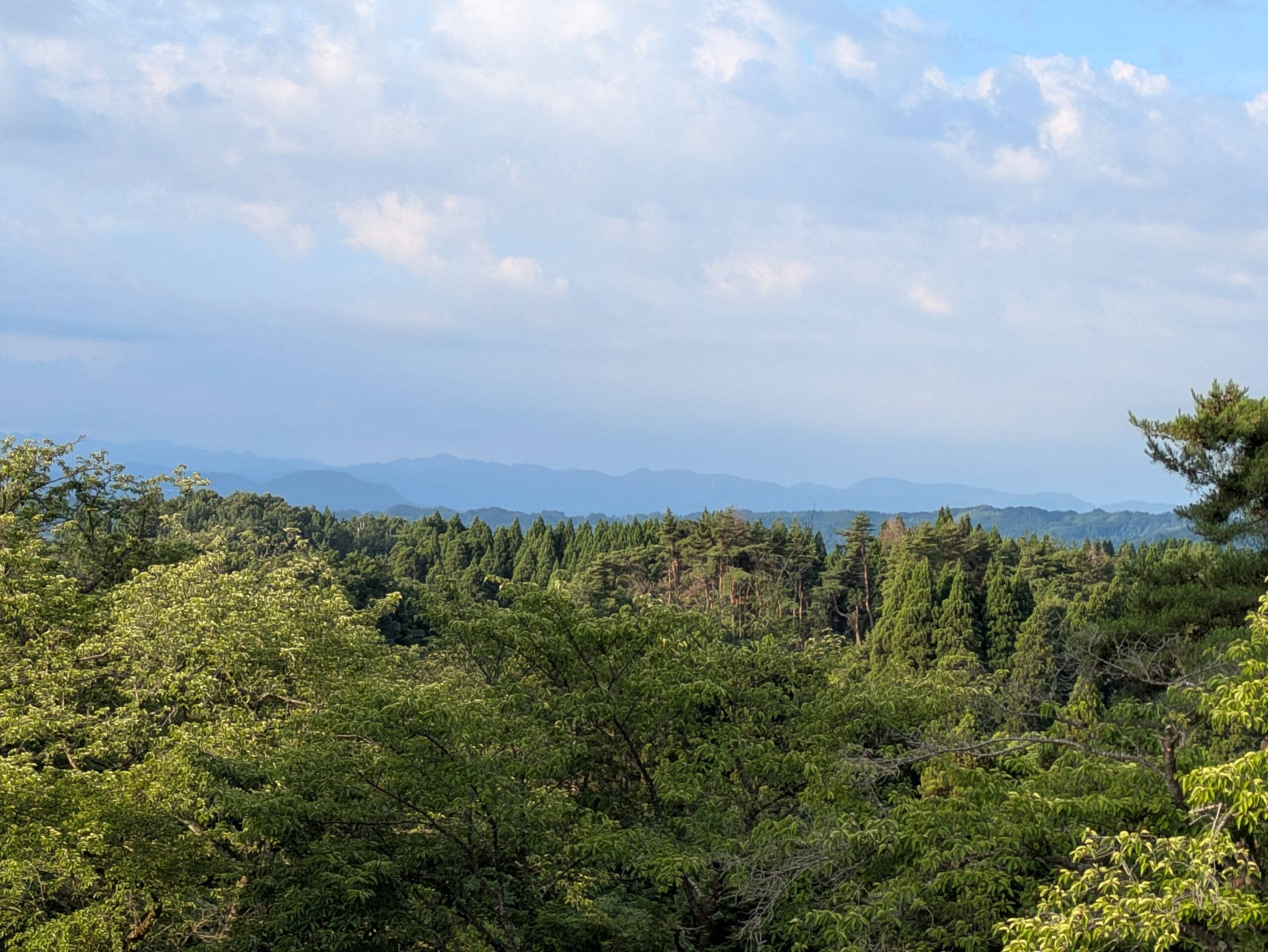 石川県森林公園の展望台から眺めた白山の様子７月