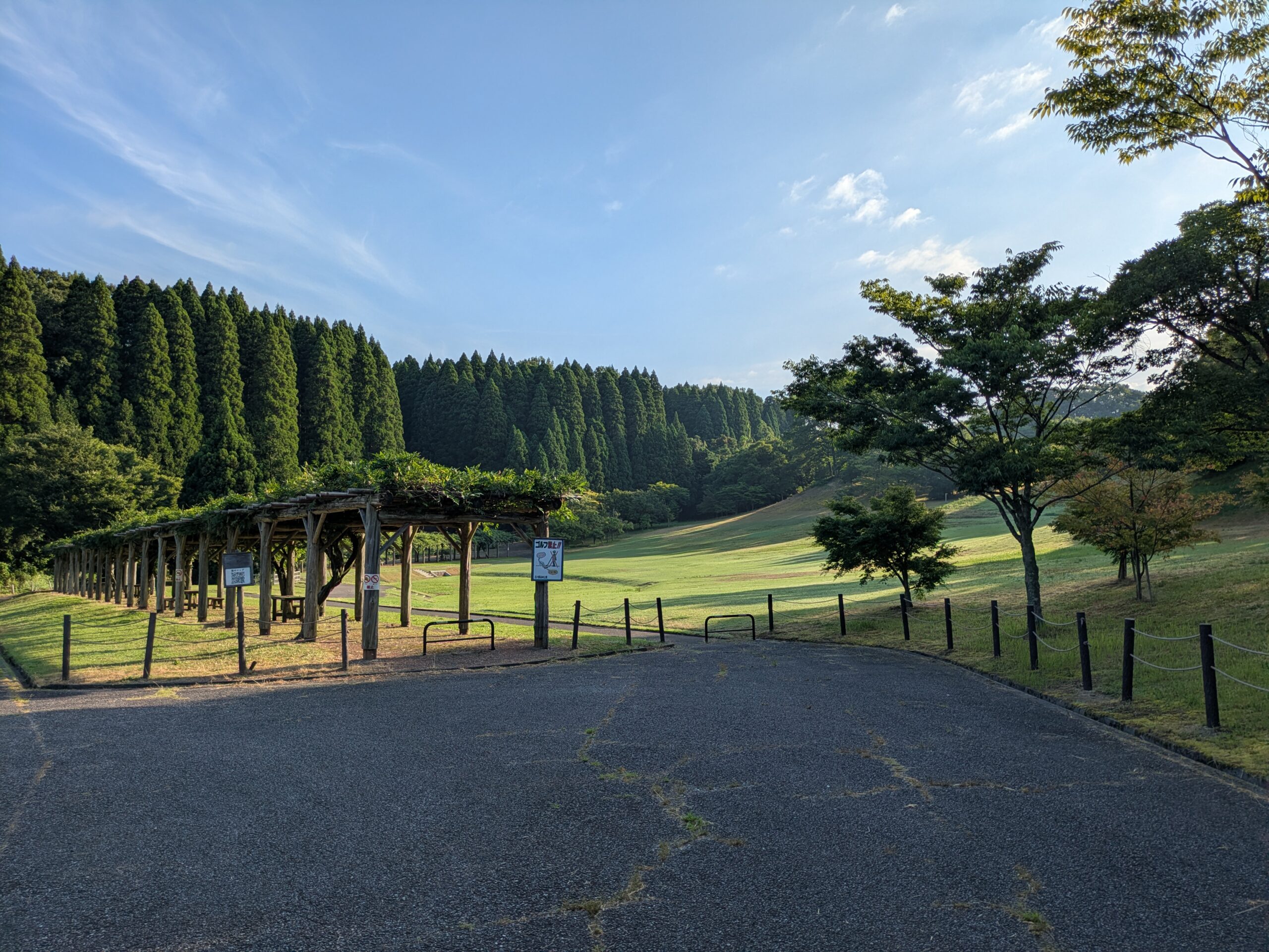 石川県森林公園の緑化の広場の光景７月