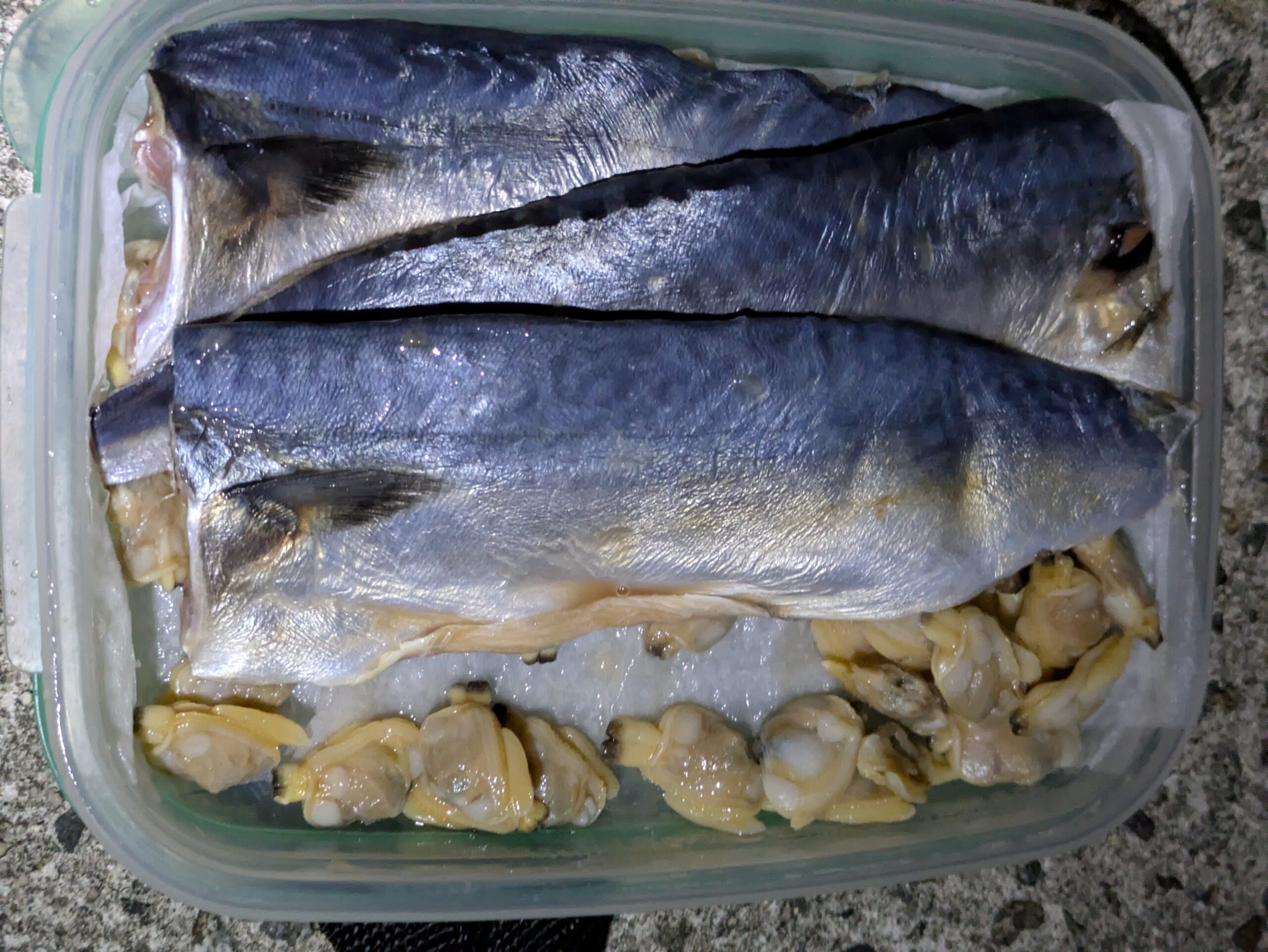 滝港の夜釣りに持ってきた餌の塩サバとアサリ