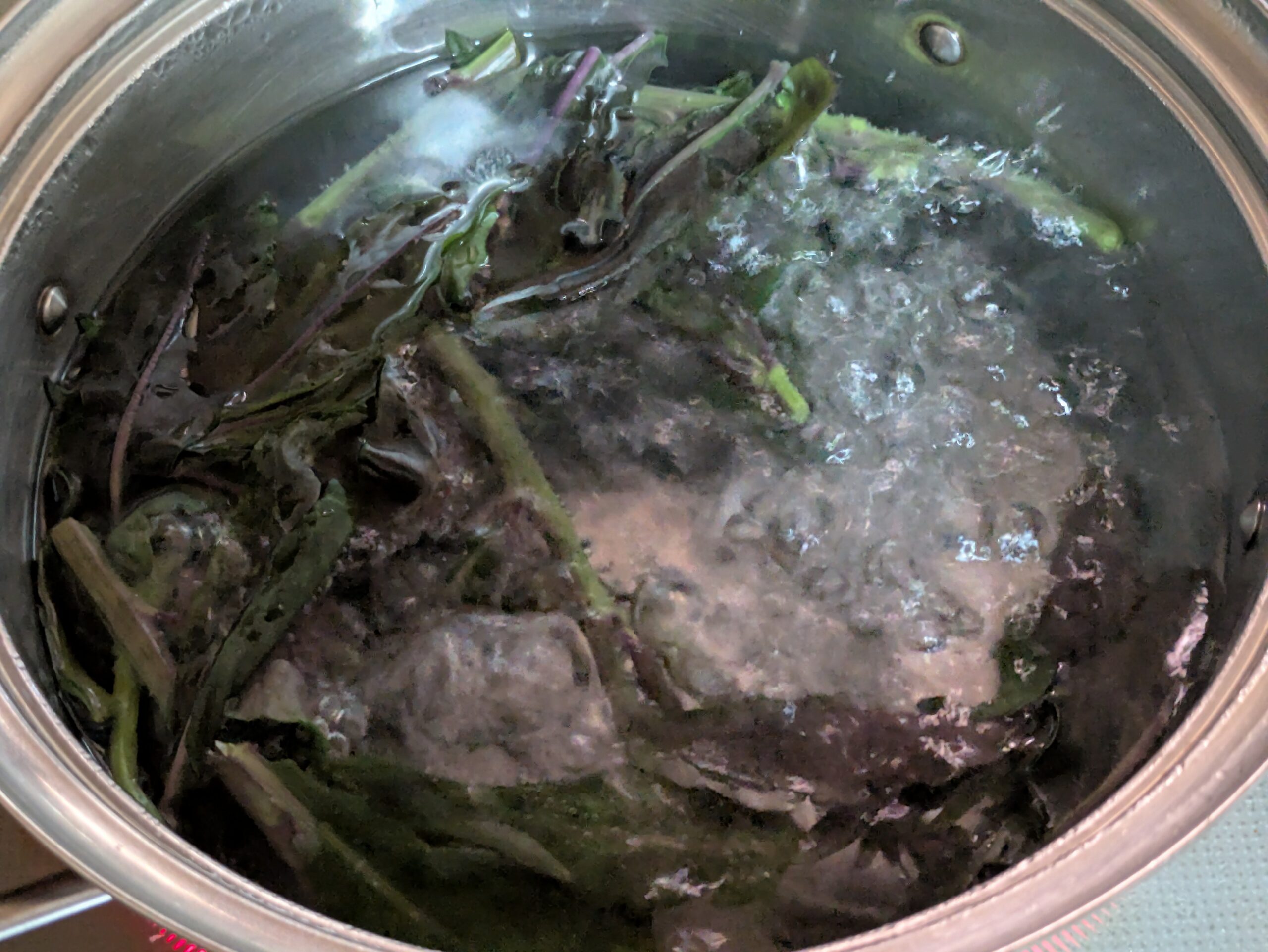 沸騰したお湯で金時草の葉と茎を茹でている様子