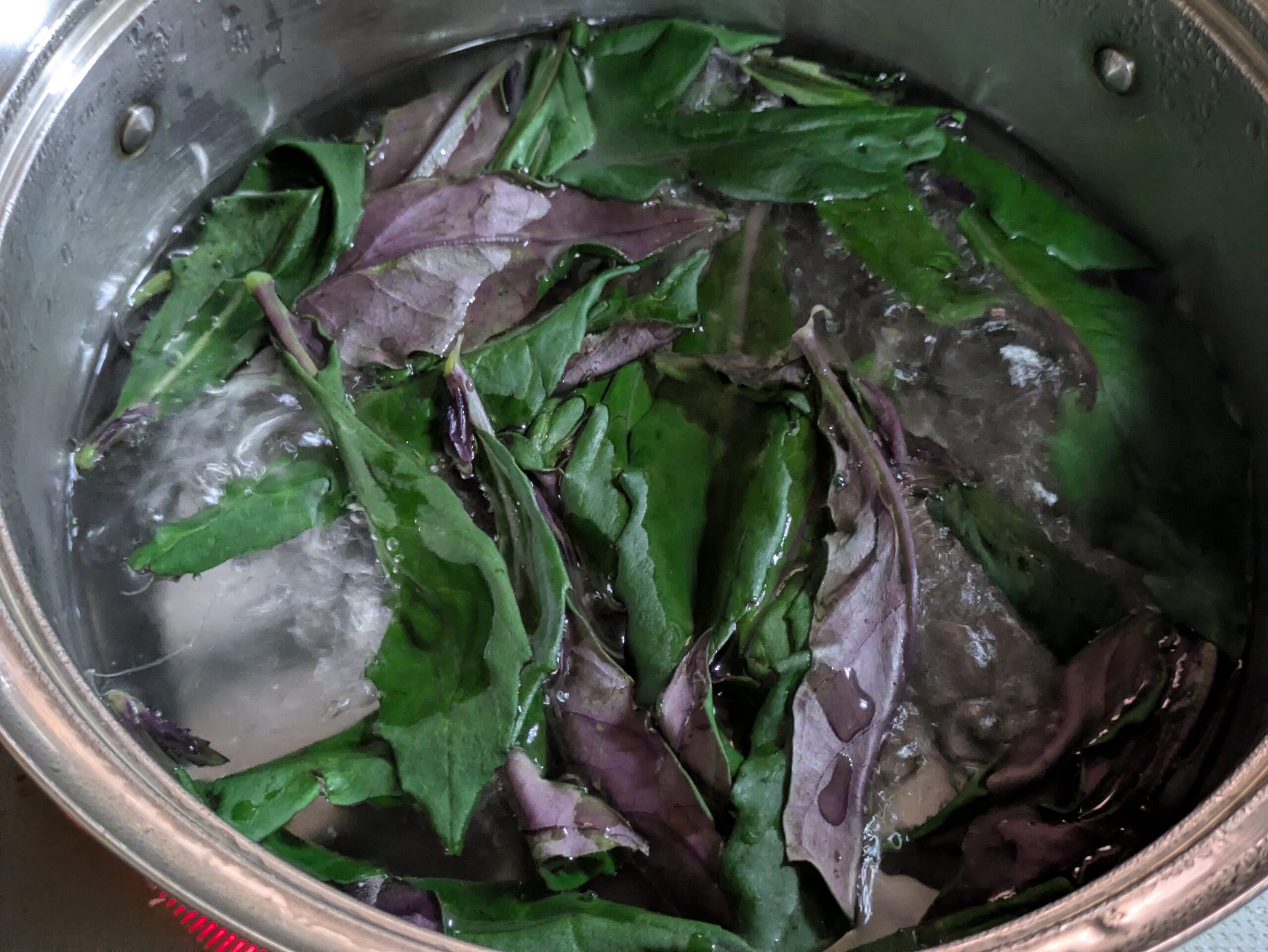 沸騰したお湯で金時草を茹でている様子