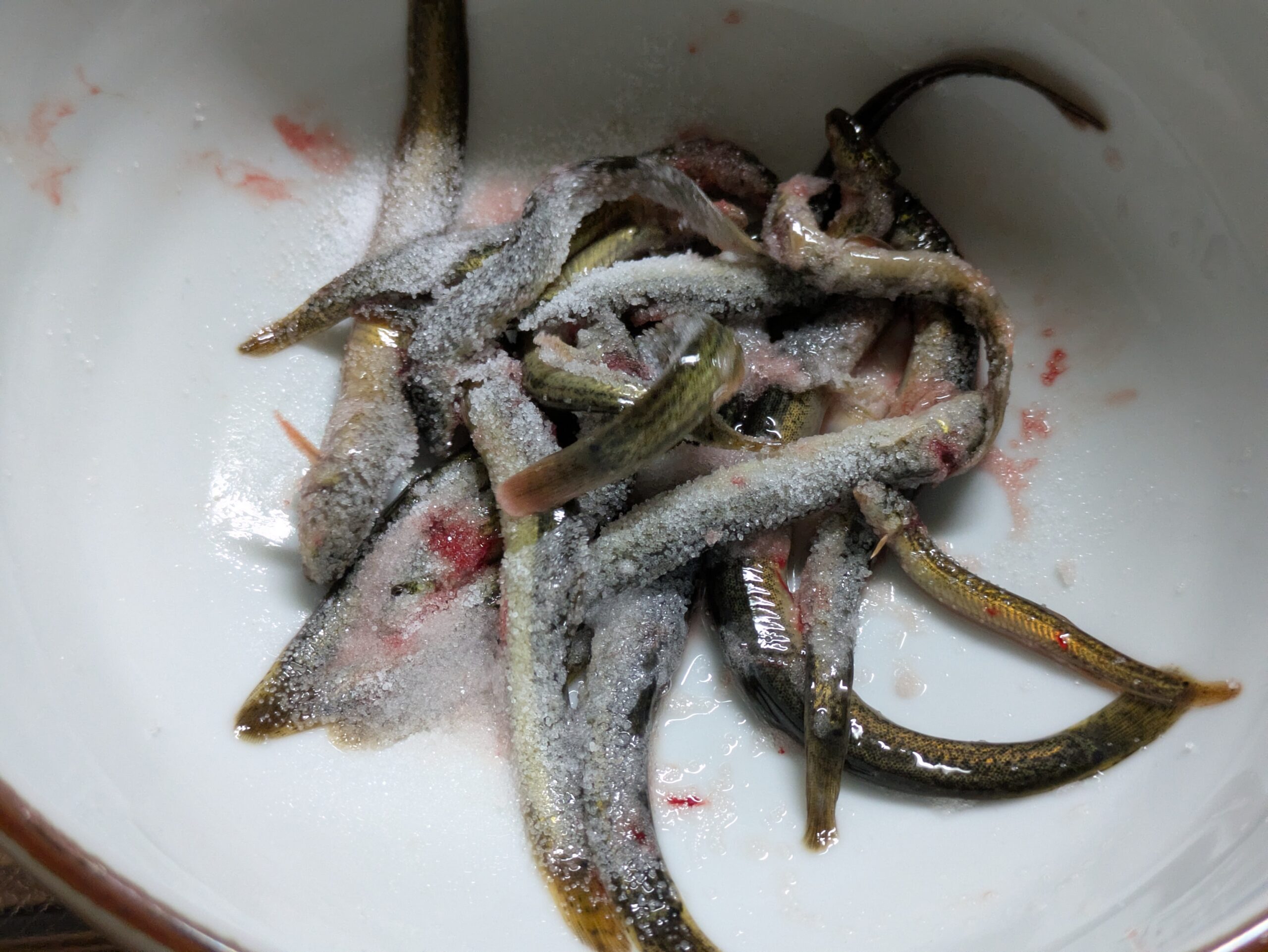 塩を振ってドジョウのぬめりを取る様子