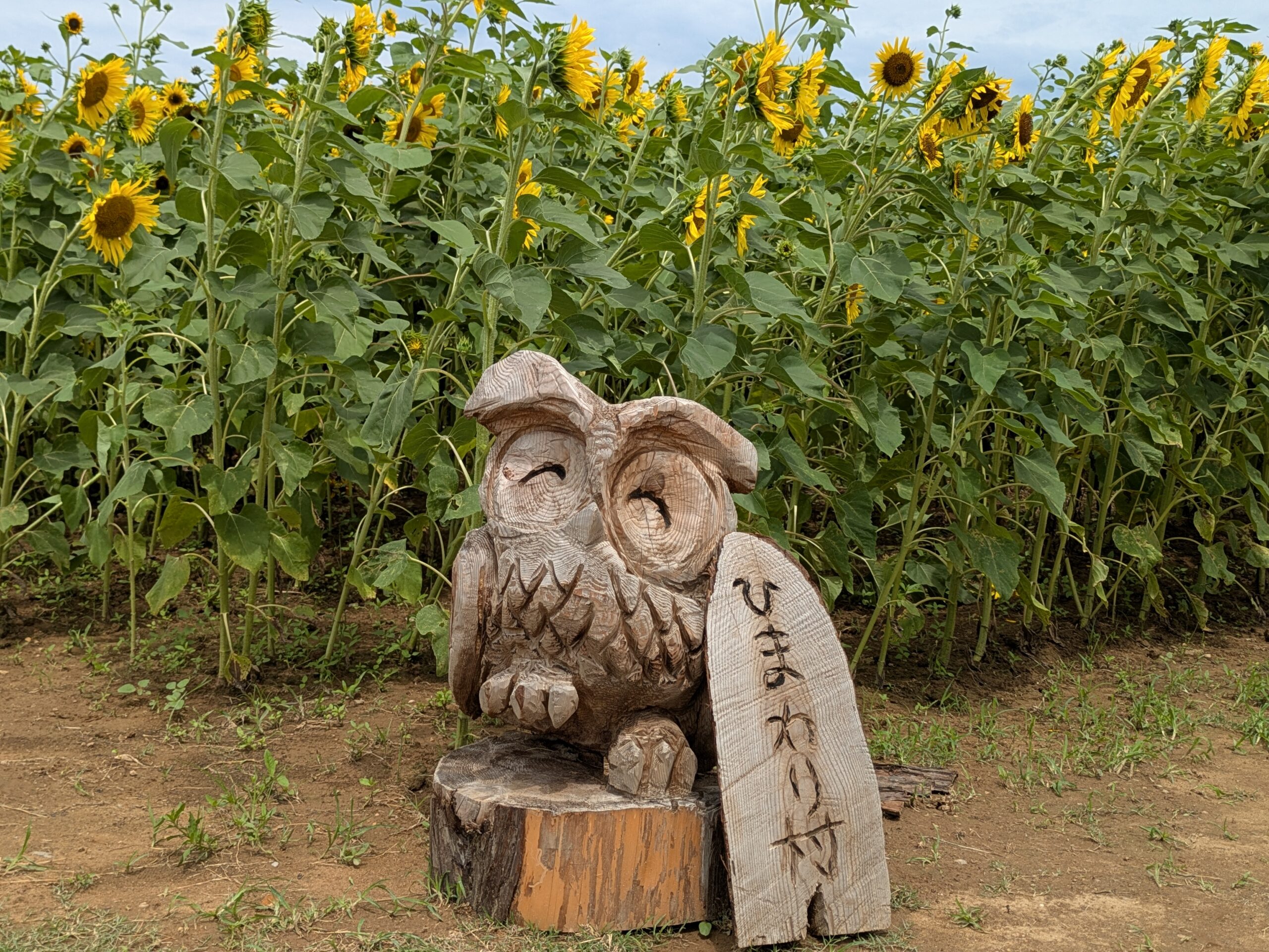 河北潟ひまわり村の入口に置かれた木彫りのフクロウ