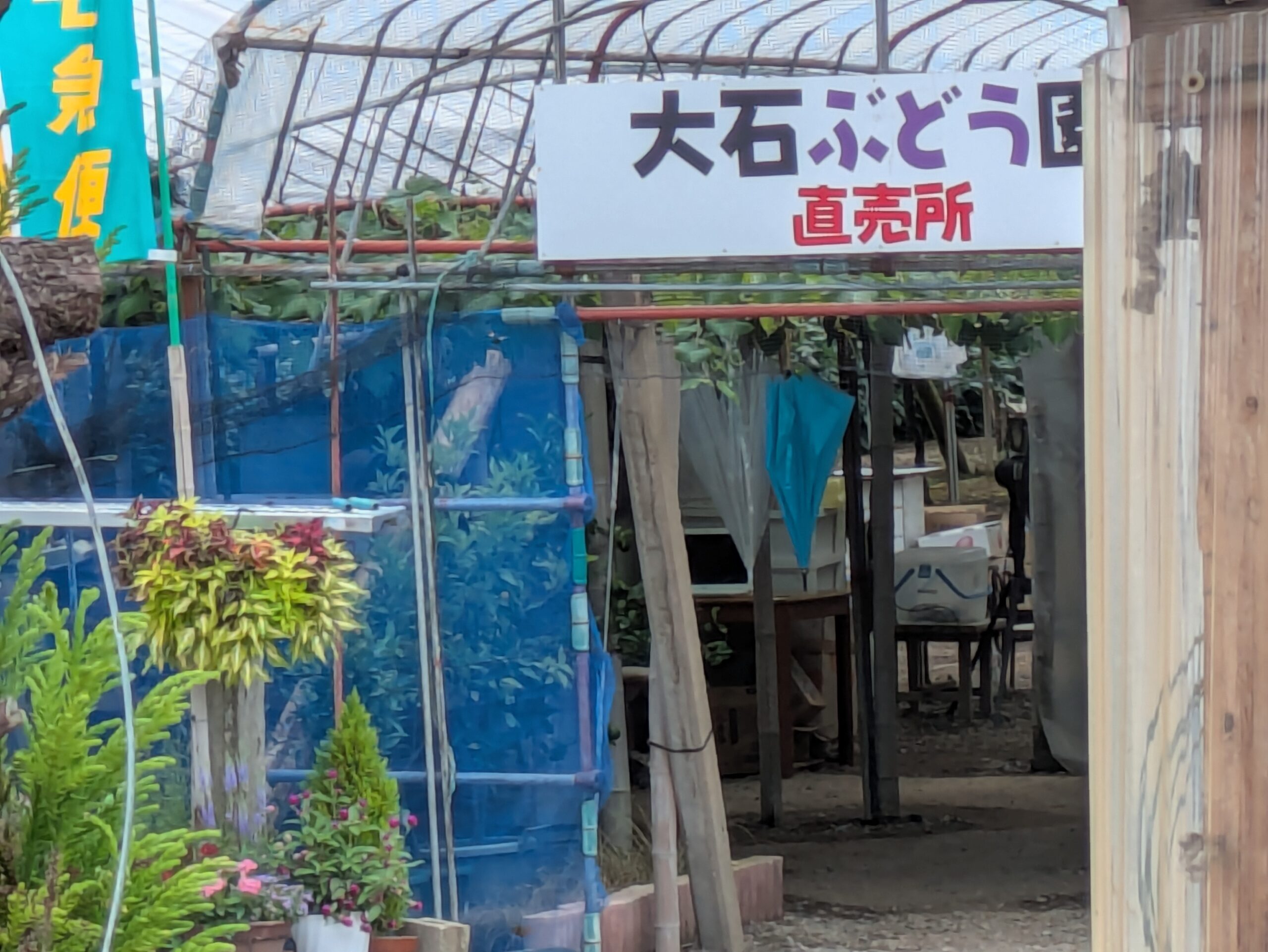 河北干拓地周辺にある大石ぶどう園の直売所
