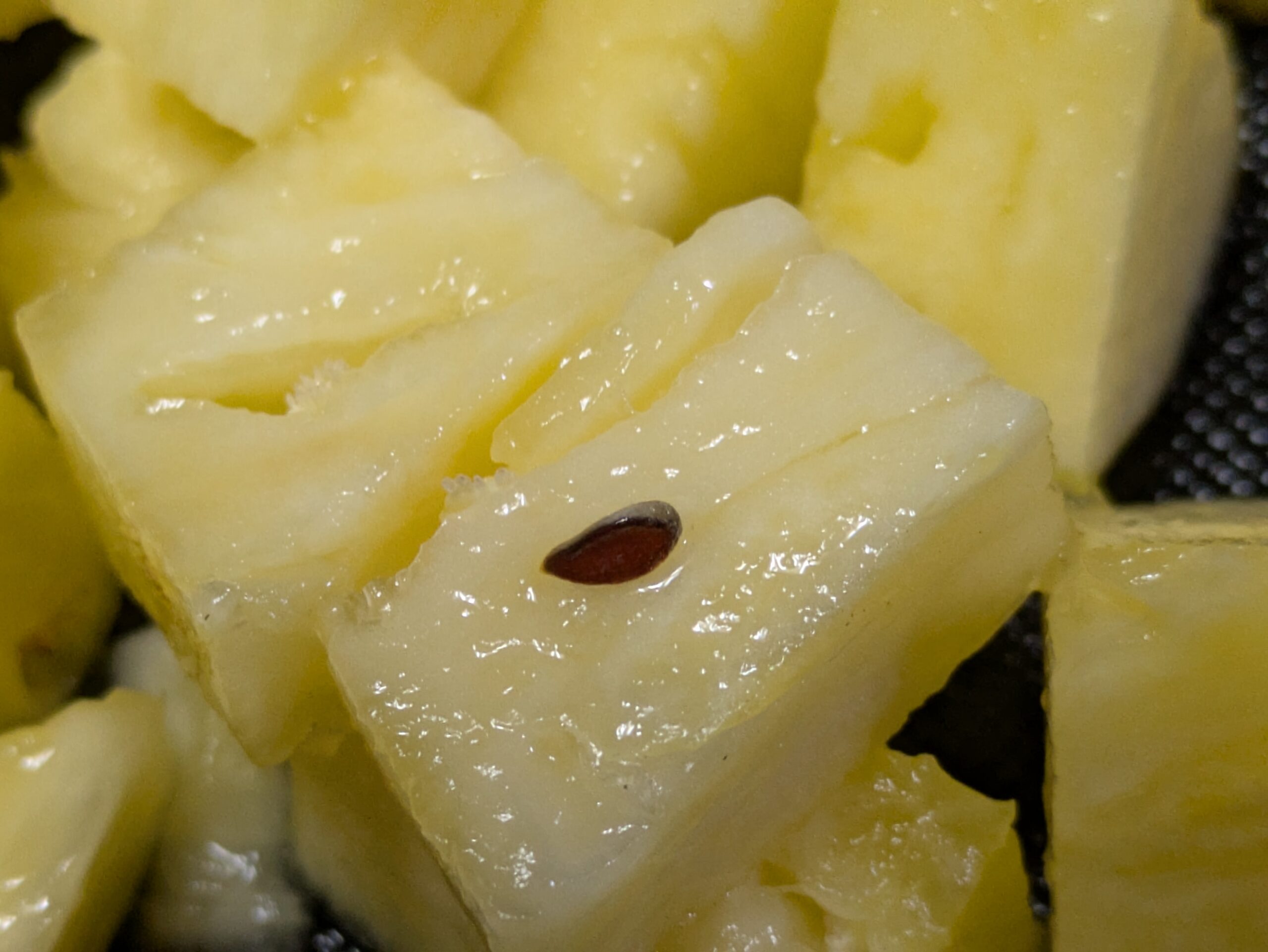 パイナップルの果肉から見つかった種