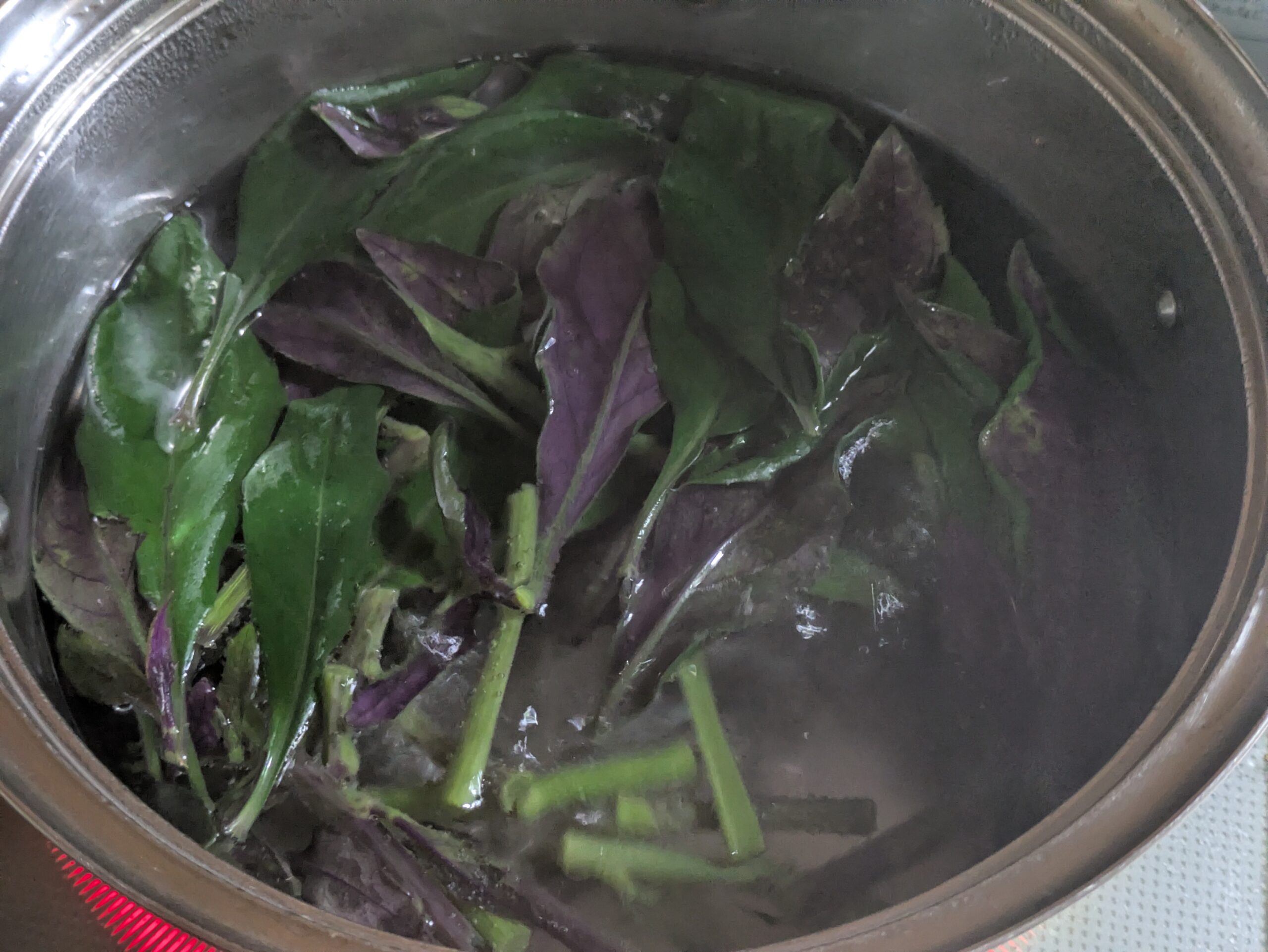 鍋で茹でている金時草
