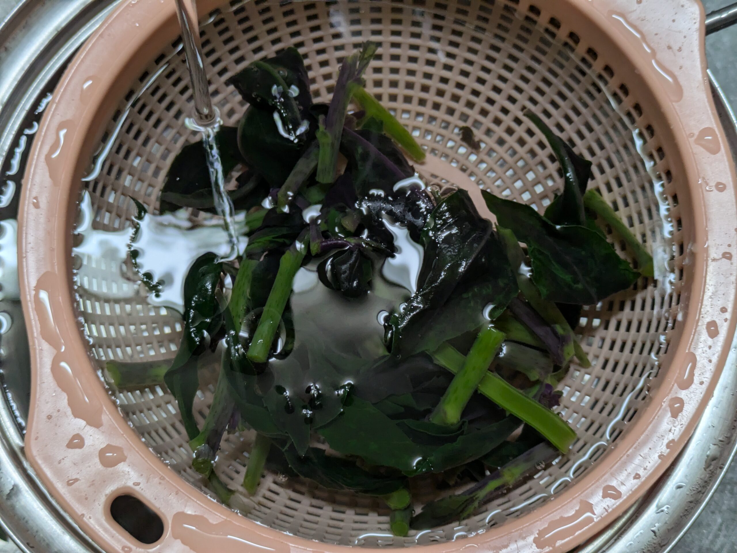茹でたあと冷水で冷ましている金時草