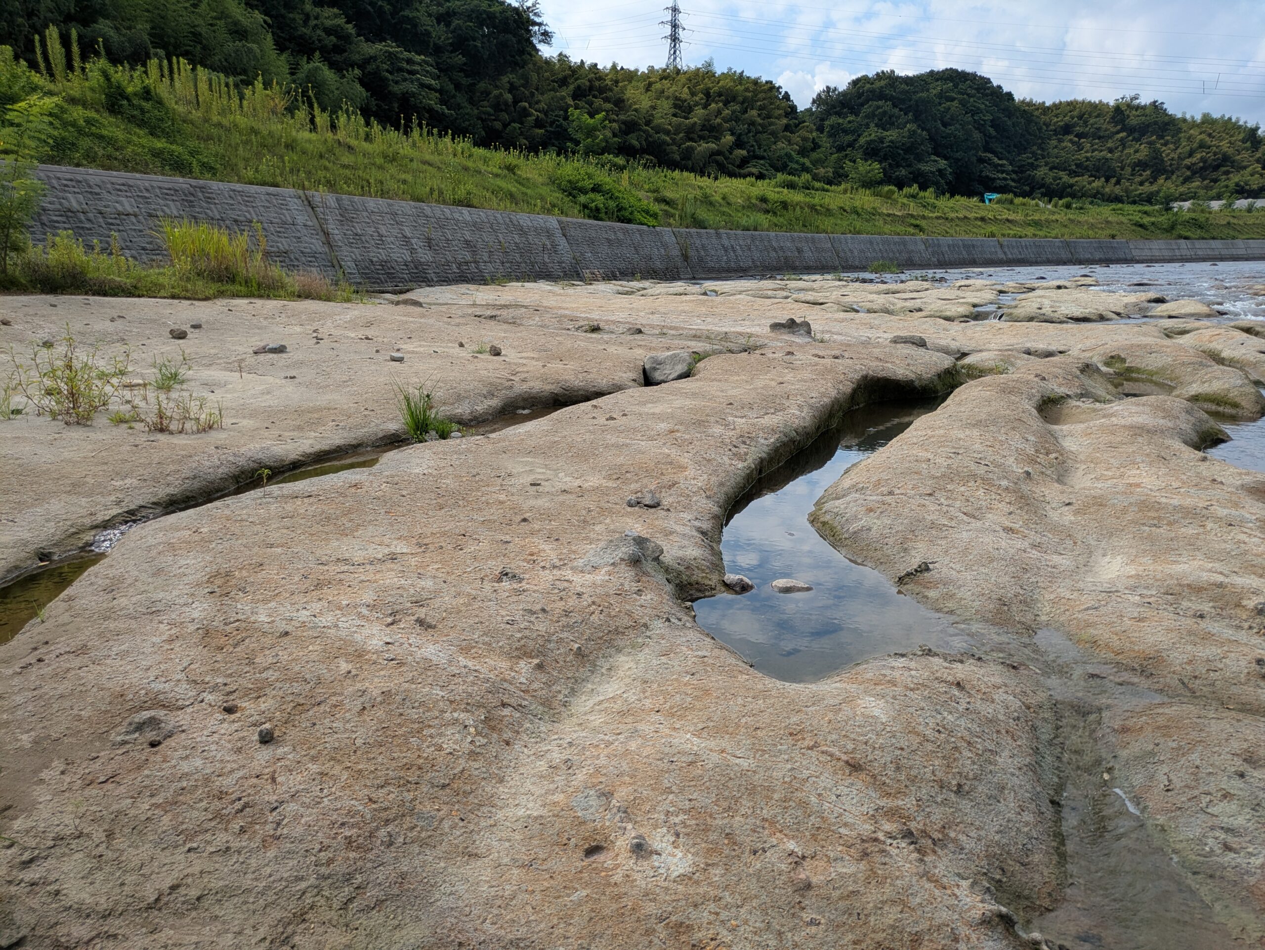 大桑層の岩場にできた水たまり