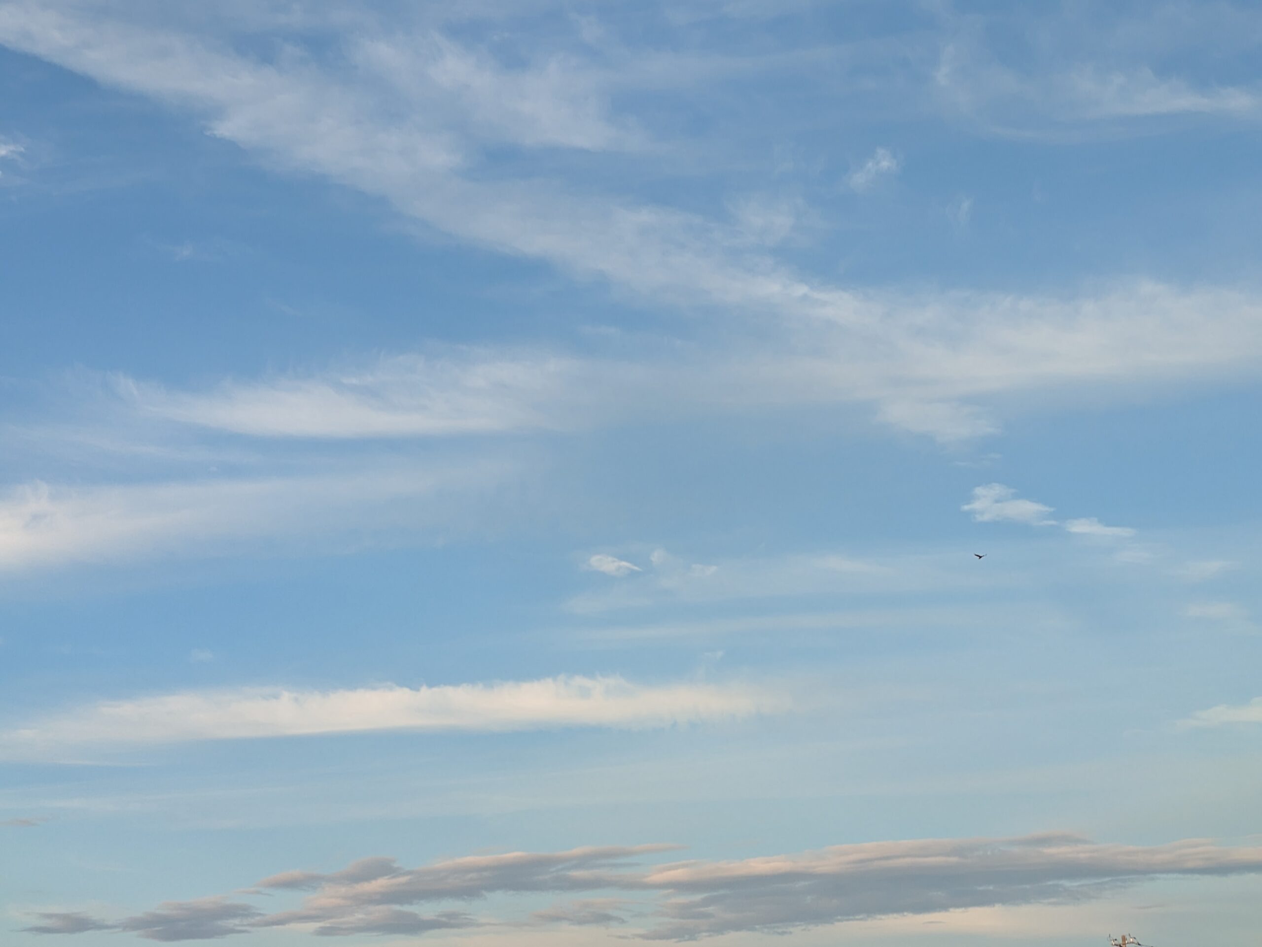 金沢の田んぼで見た8月早朝の空