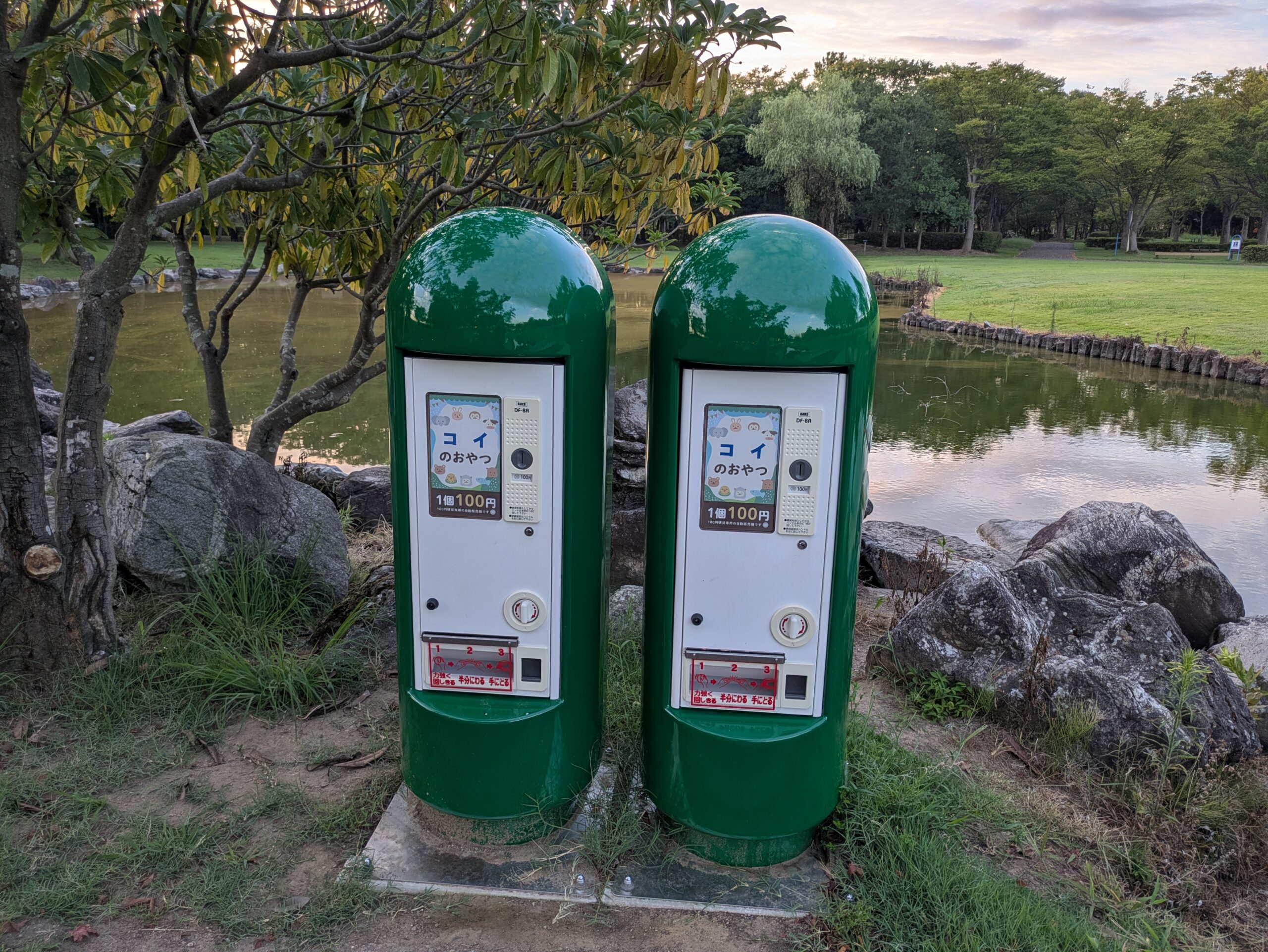 北部公園の池に設置されている鯉の餌販売機