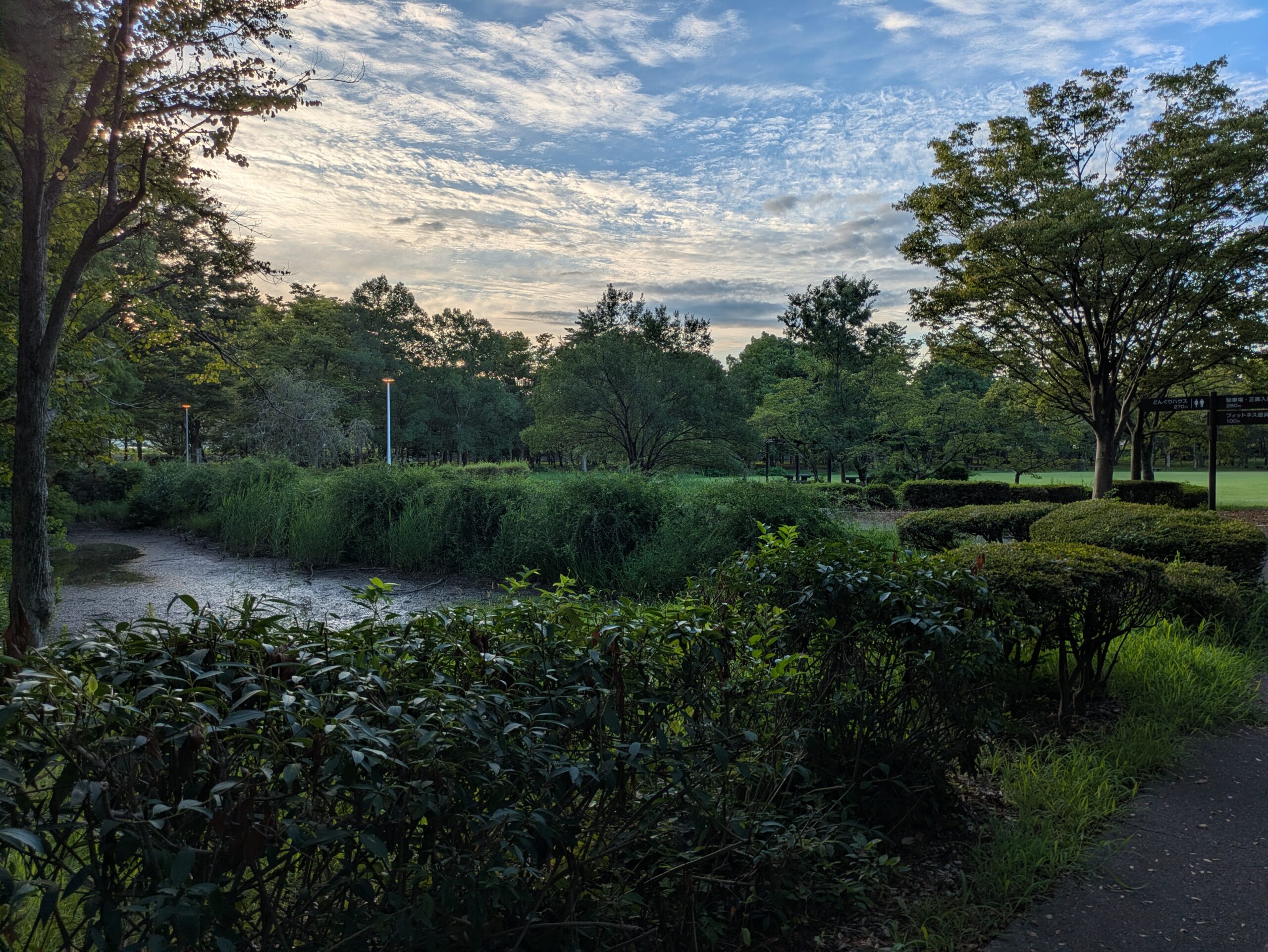北部公園の木々に囲まれた散策路