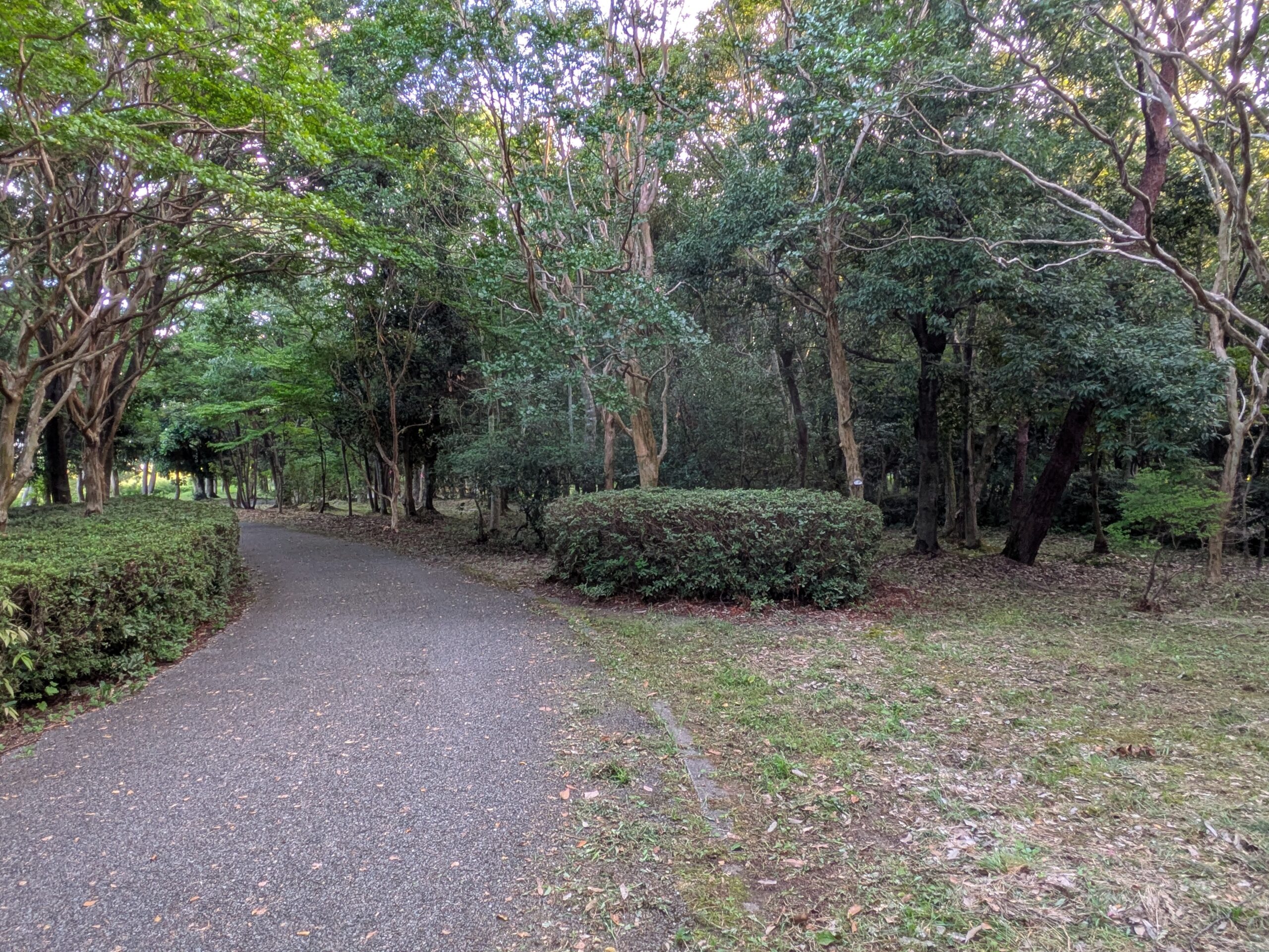 北部公園の木々と芝生に囲まれた園内