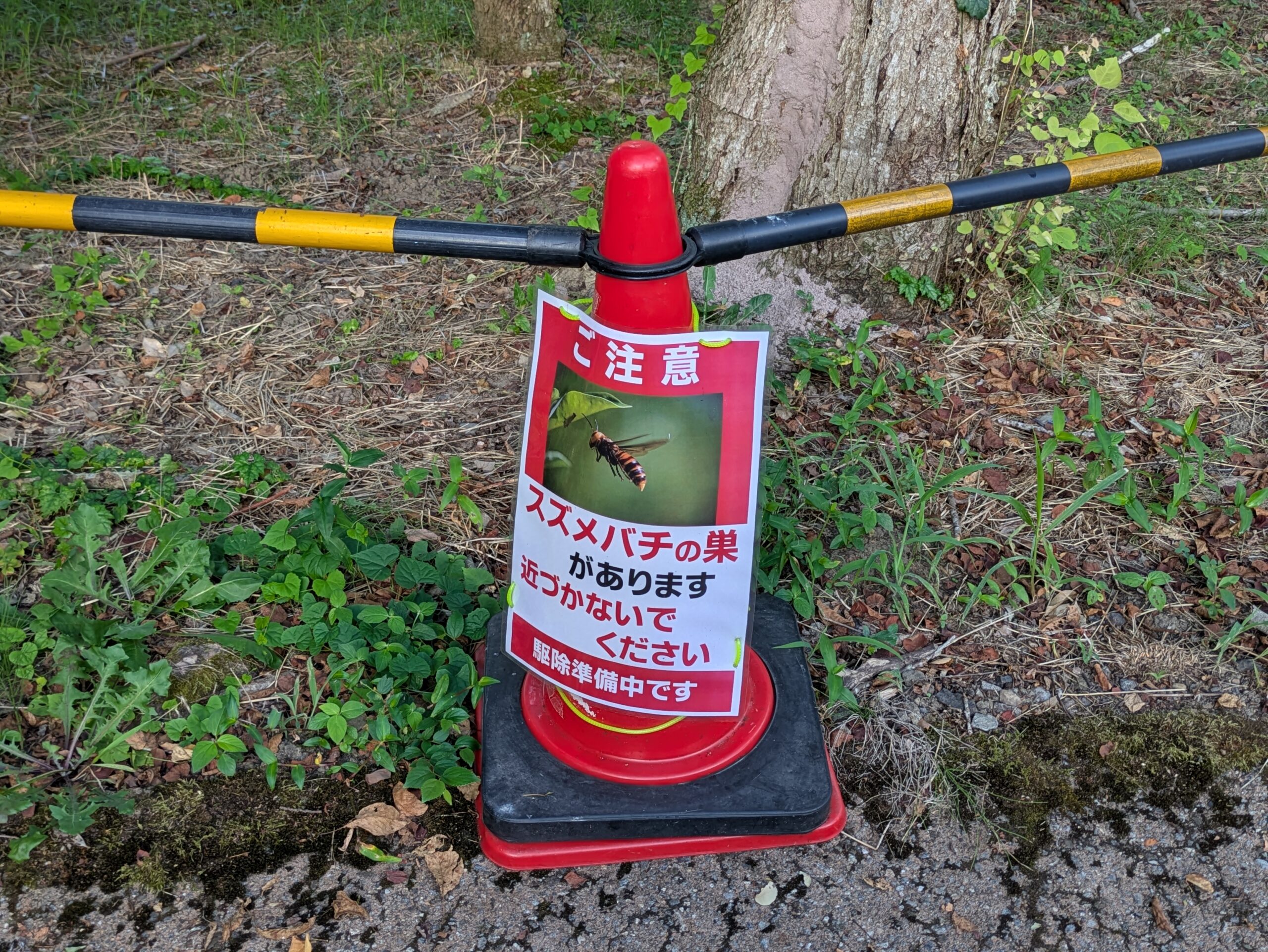 北部公園の蓮池前にあったスズメバチの巣駆除の注意喚起