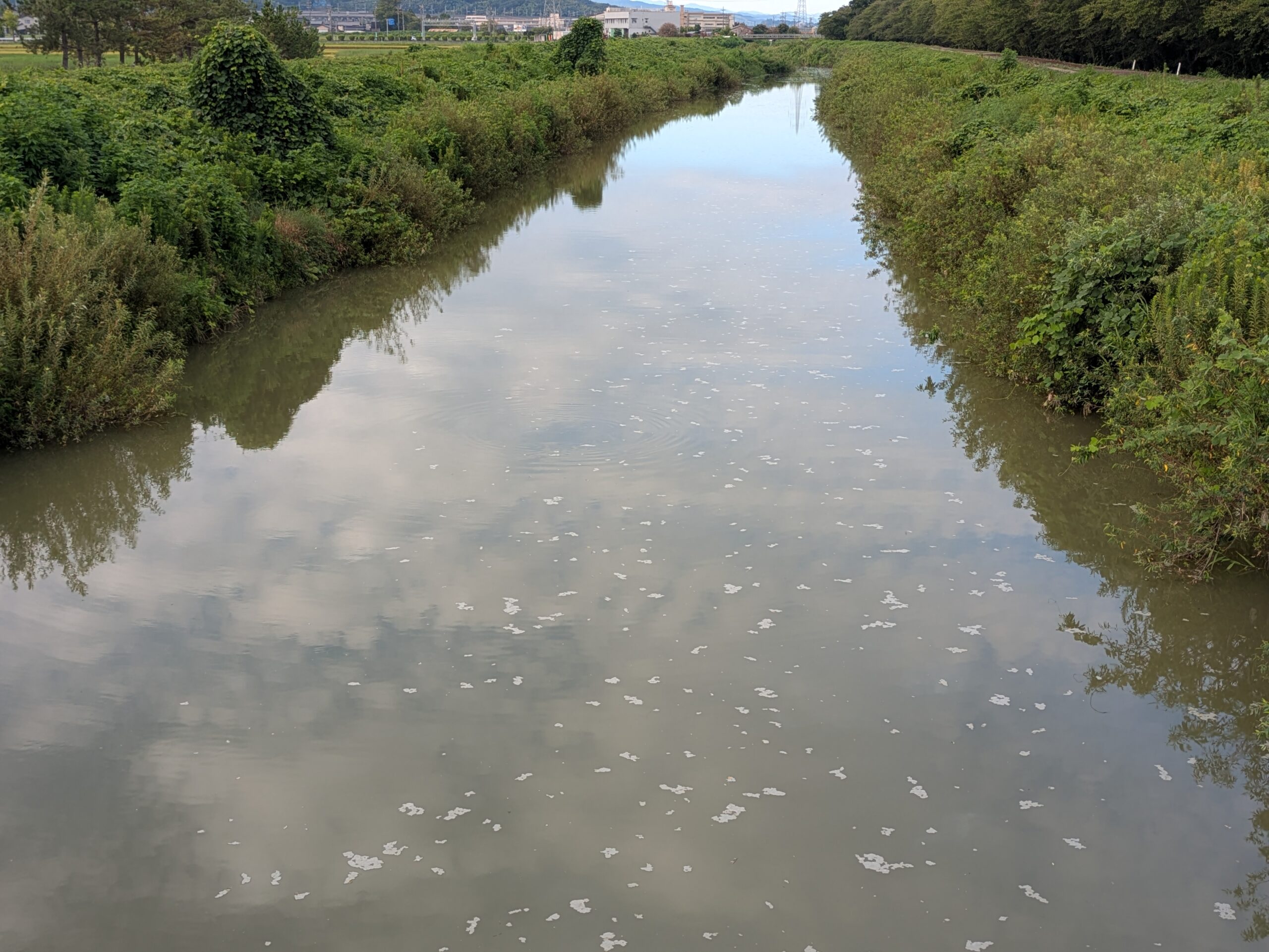 北部公園のそばを流れる森下川