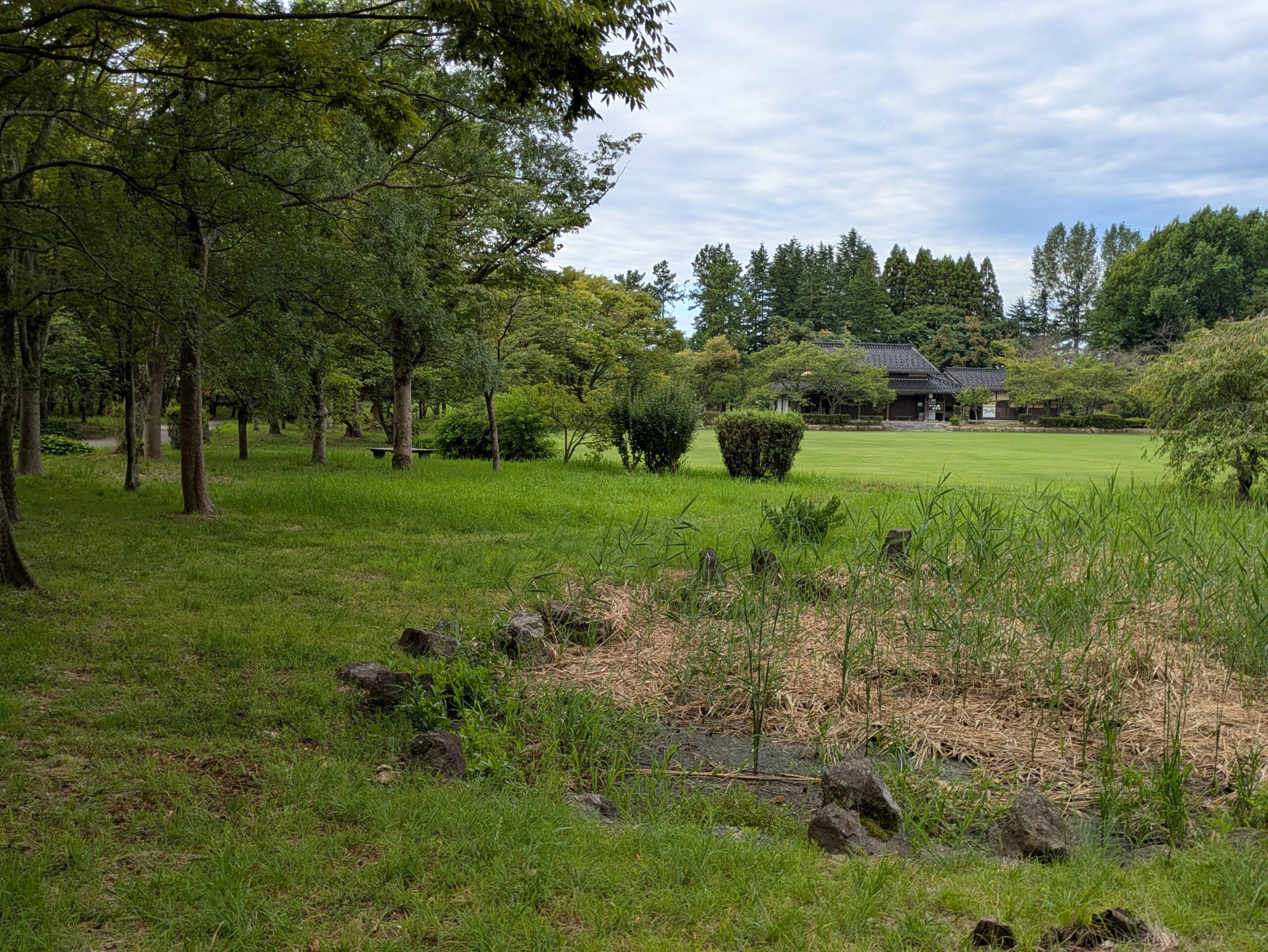 北部公園の桜の園と芝生広場