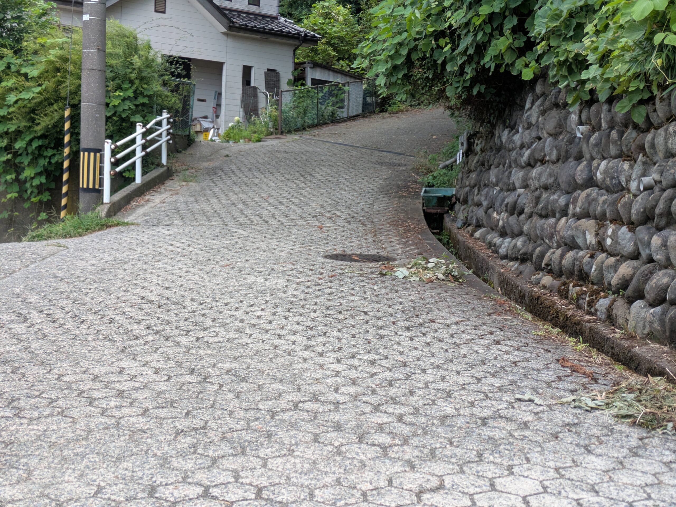 坪野町へ向かう途中の住宅地から山側へ続く急な道路