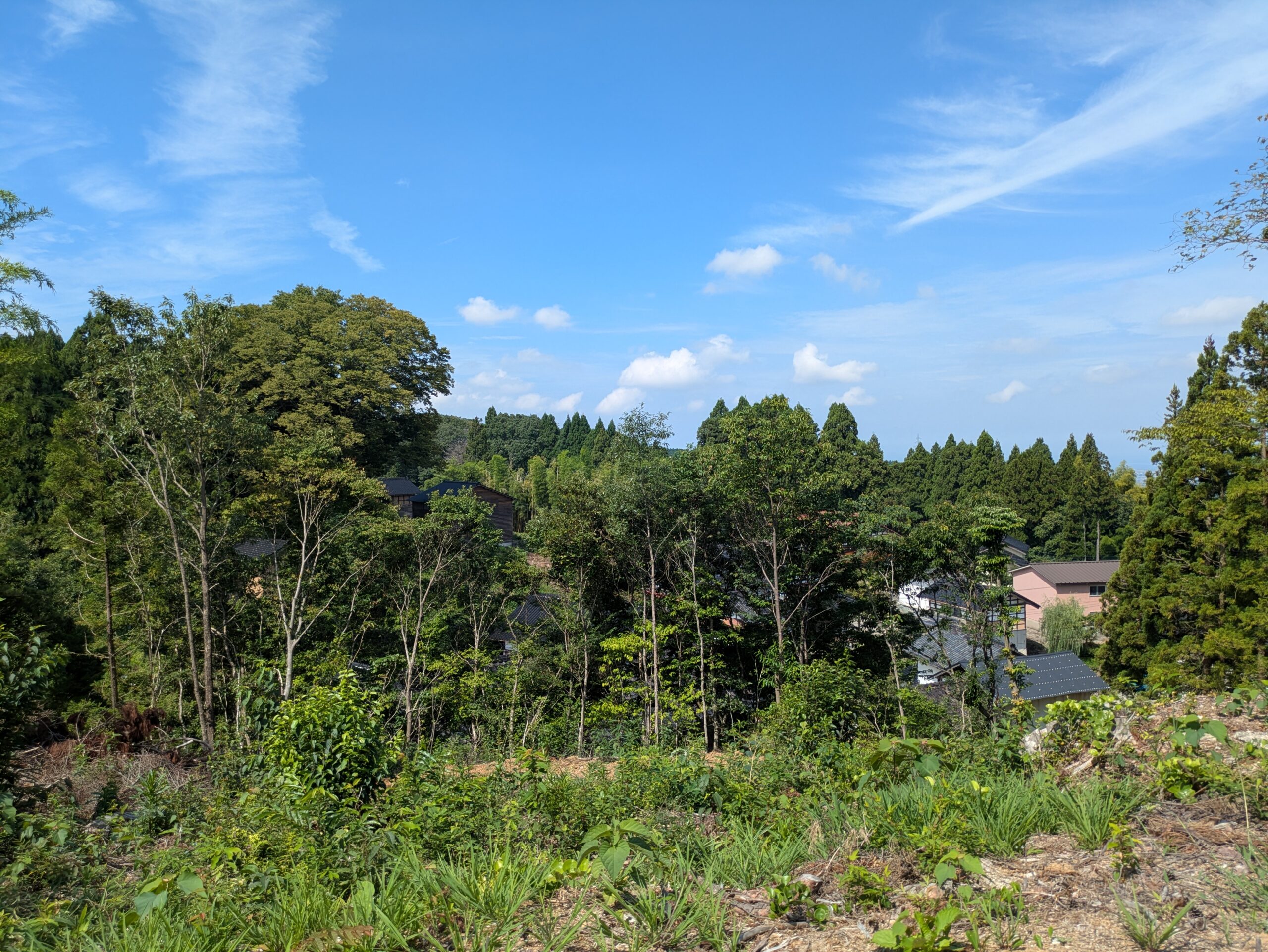 坪野町の事比羅神社付近の高台から見た周辺の山林と集落