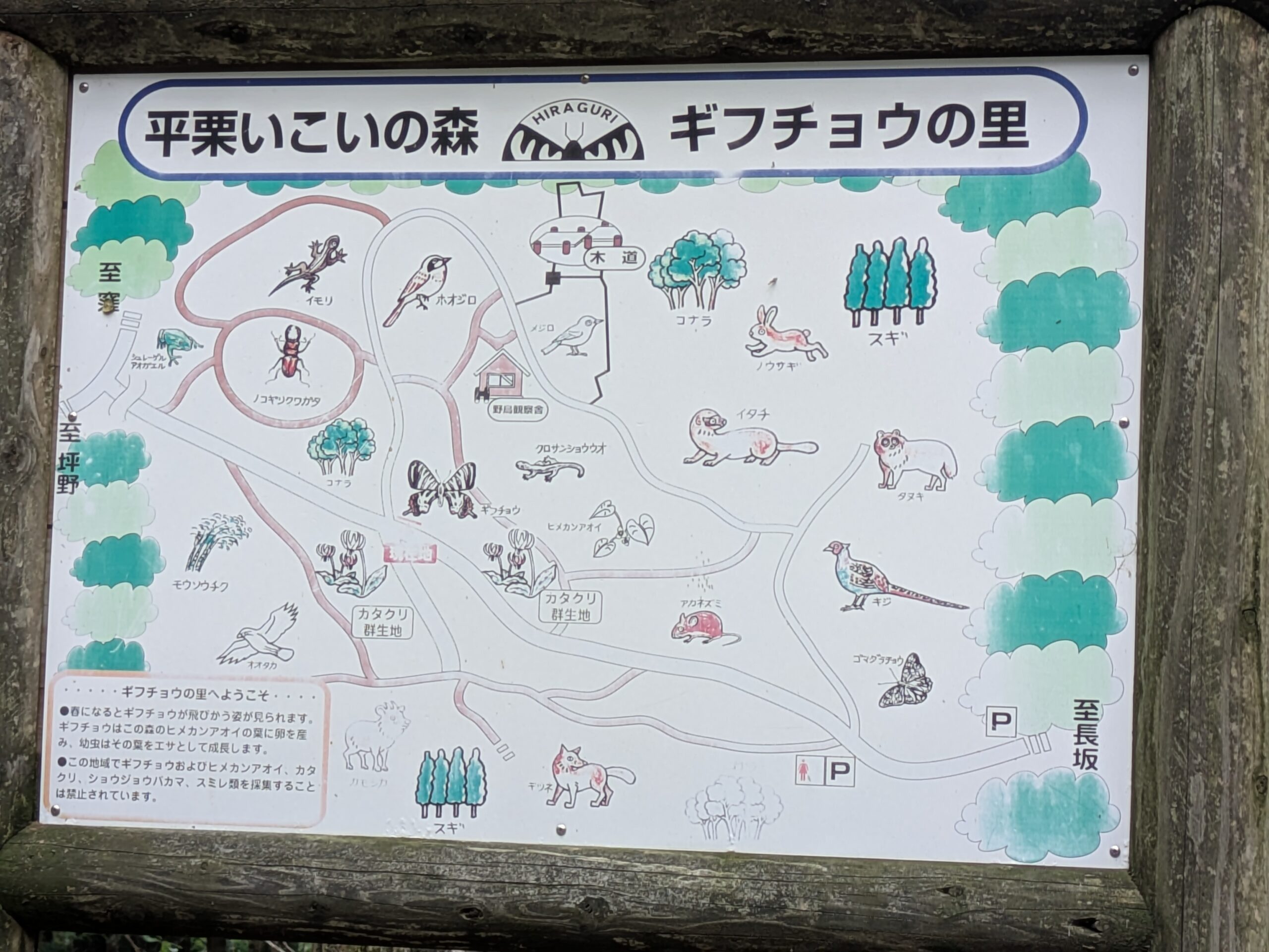 坪野町からの帰り道に立ち寄った平栗いこいの森ギフチョウの里の案内板