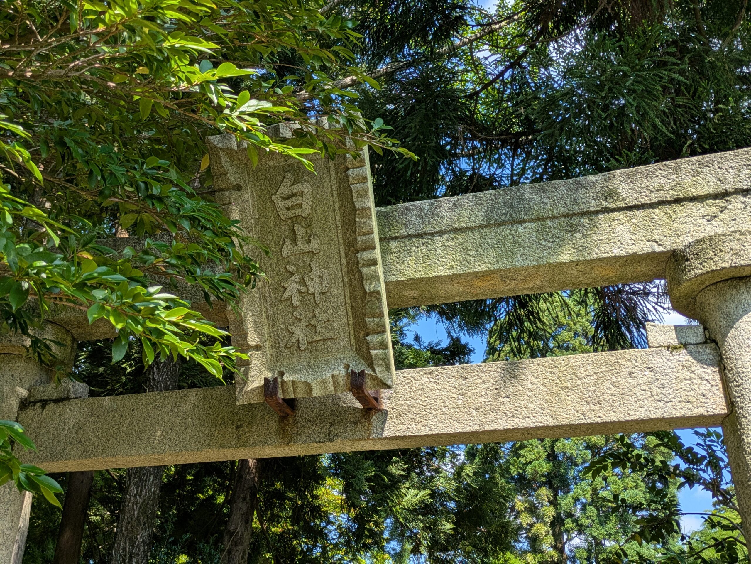 倉ケ嶽町の白山神社の鳥居に掲げられた白山神社の額